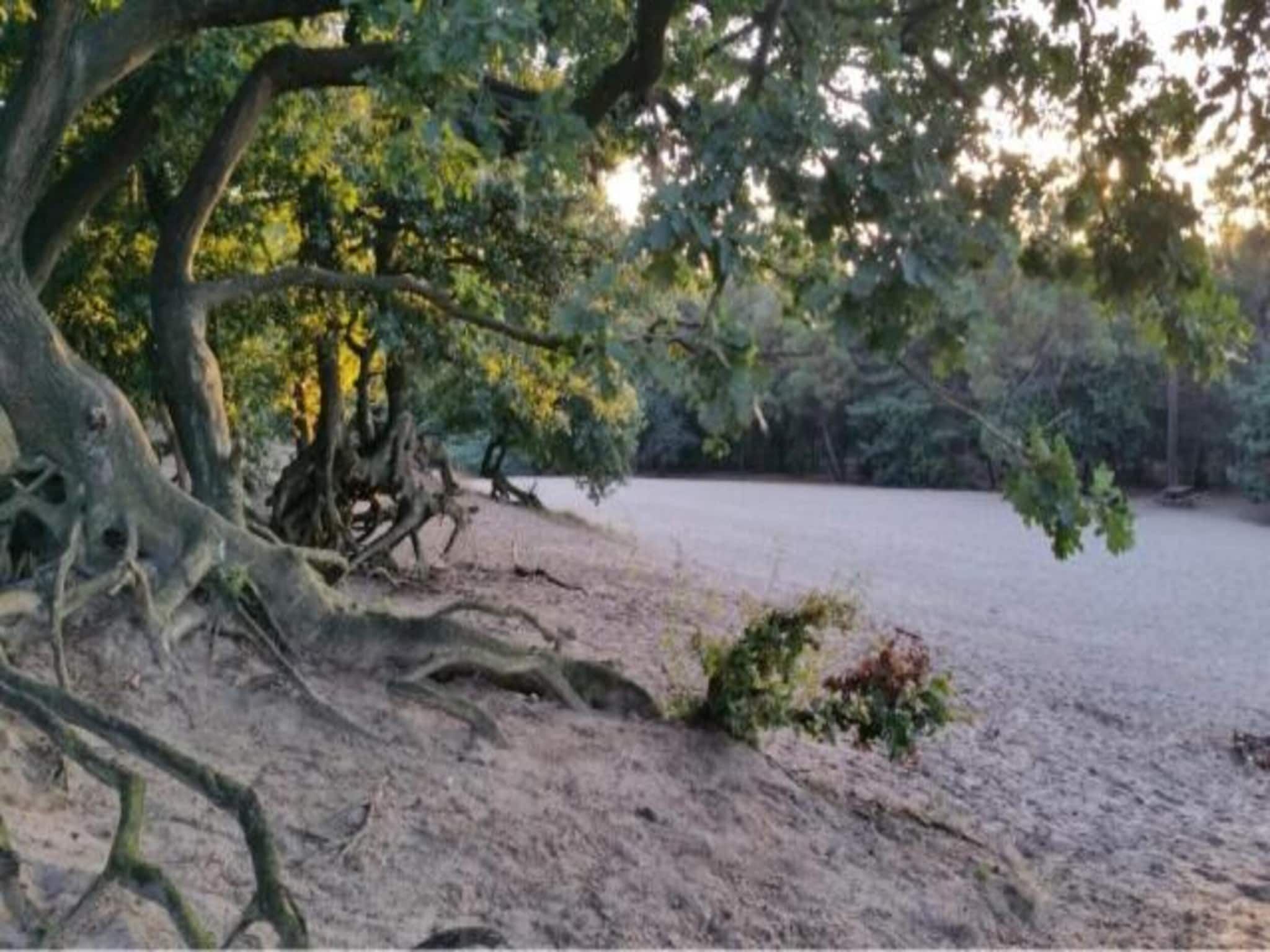 Vakantiepark Sandberghe 5 in Uden - Foto 36 van 40