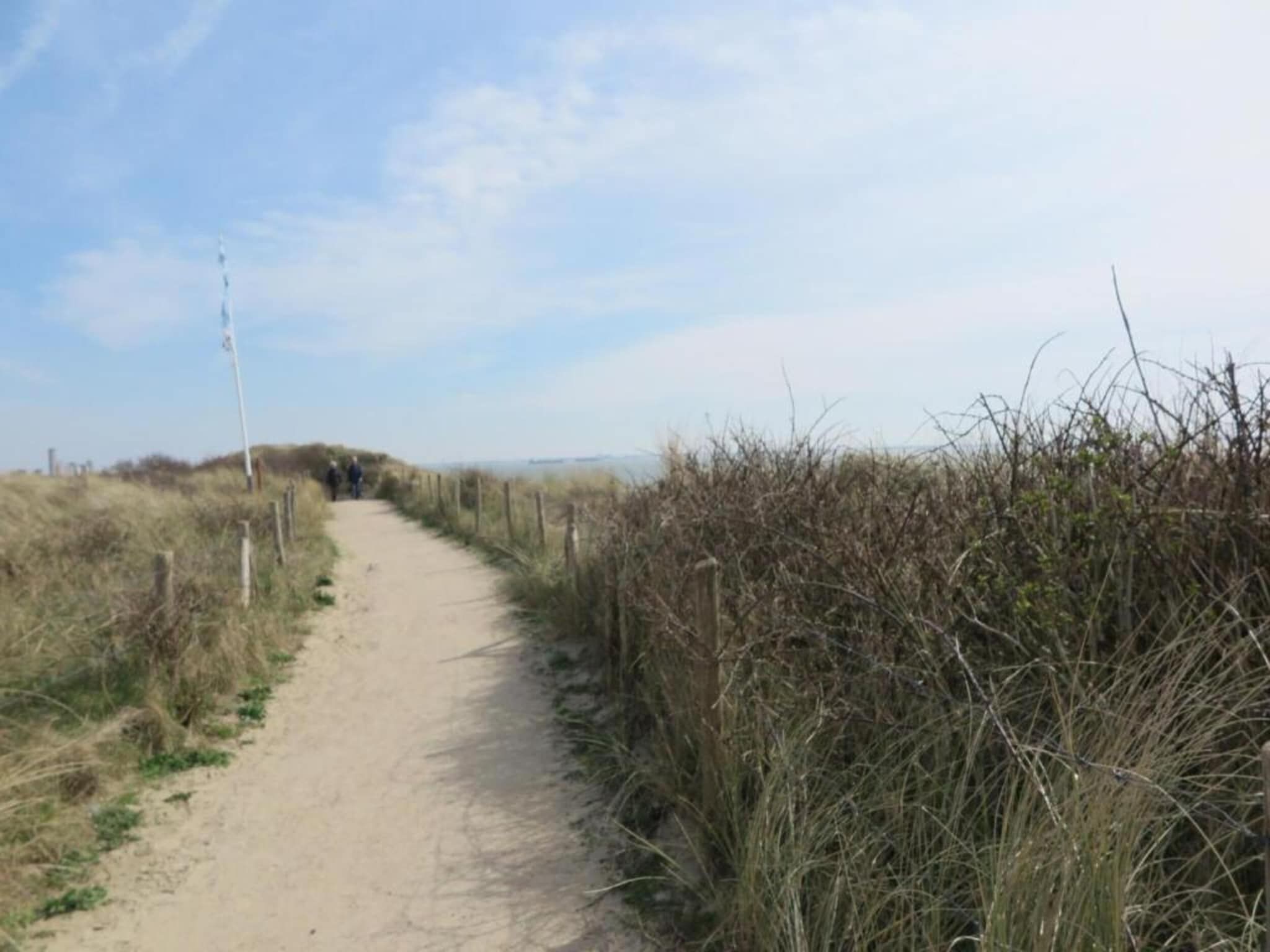 De omgeving van Noordzee Résidence Dishoek 4 in Koudekerke