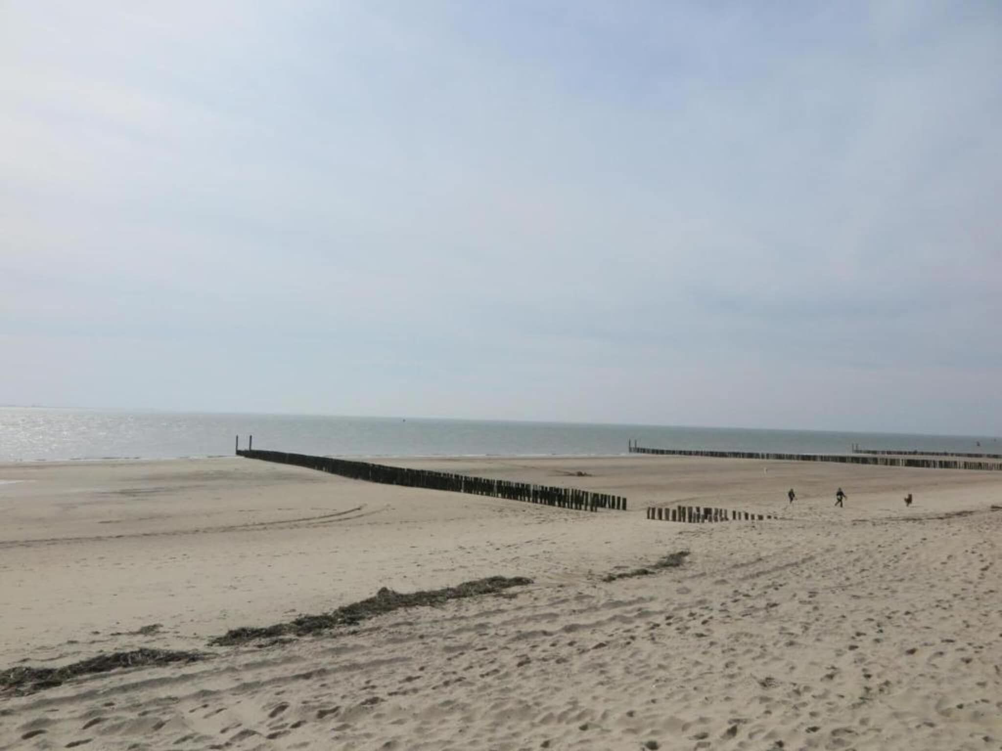 De omgeving van Noordzee Résidence Dishoek 4 in Koudekerke