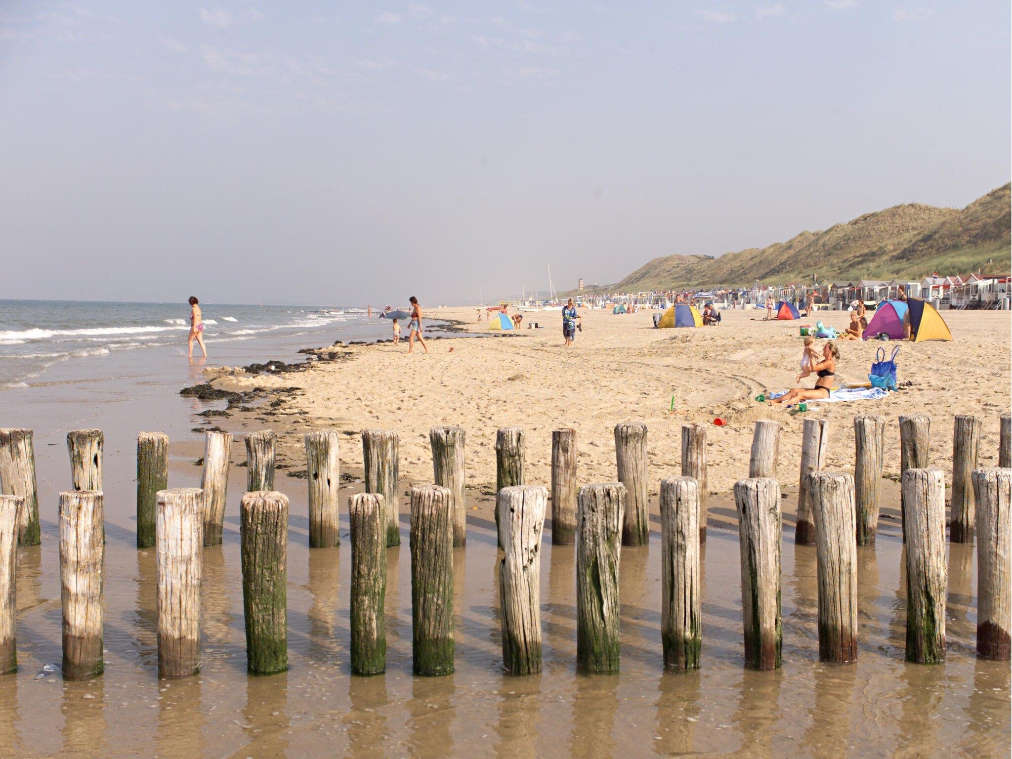 De omgeving van Noordzee Résidence Dishoek 8 in Koudekerke