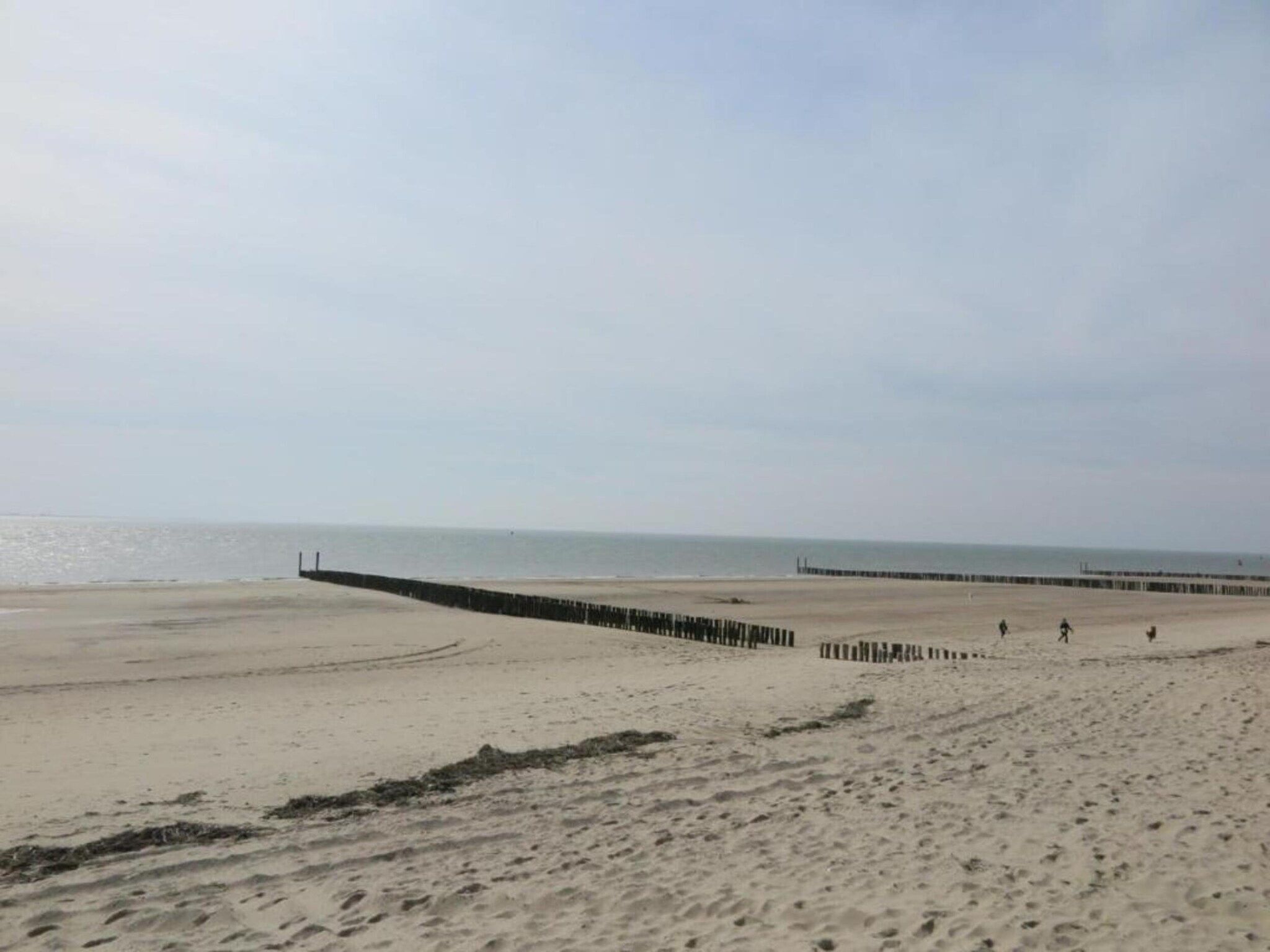 De omgeving van Noordzee Résidence Dishoek 8 in Koudekerke