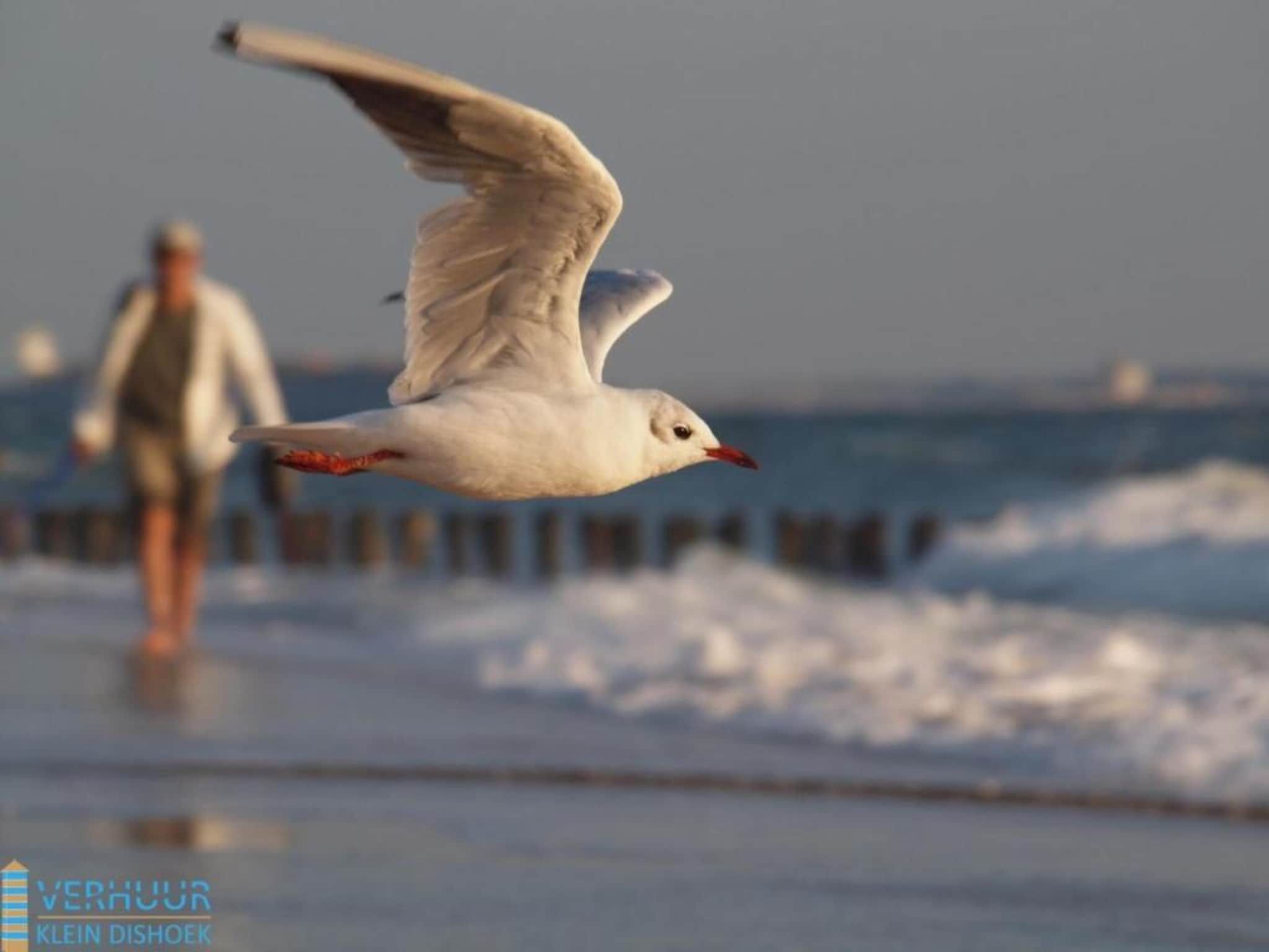Sfeerbeeld van Noordzee Résidence Dishoek 7 in Koudekerke