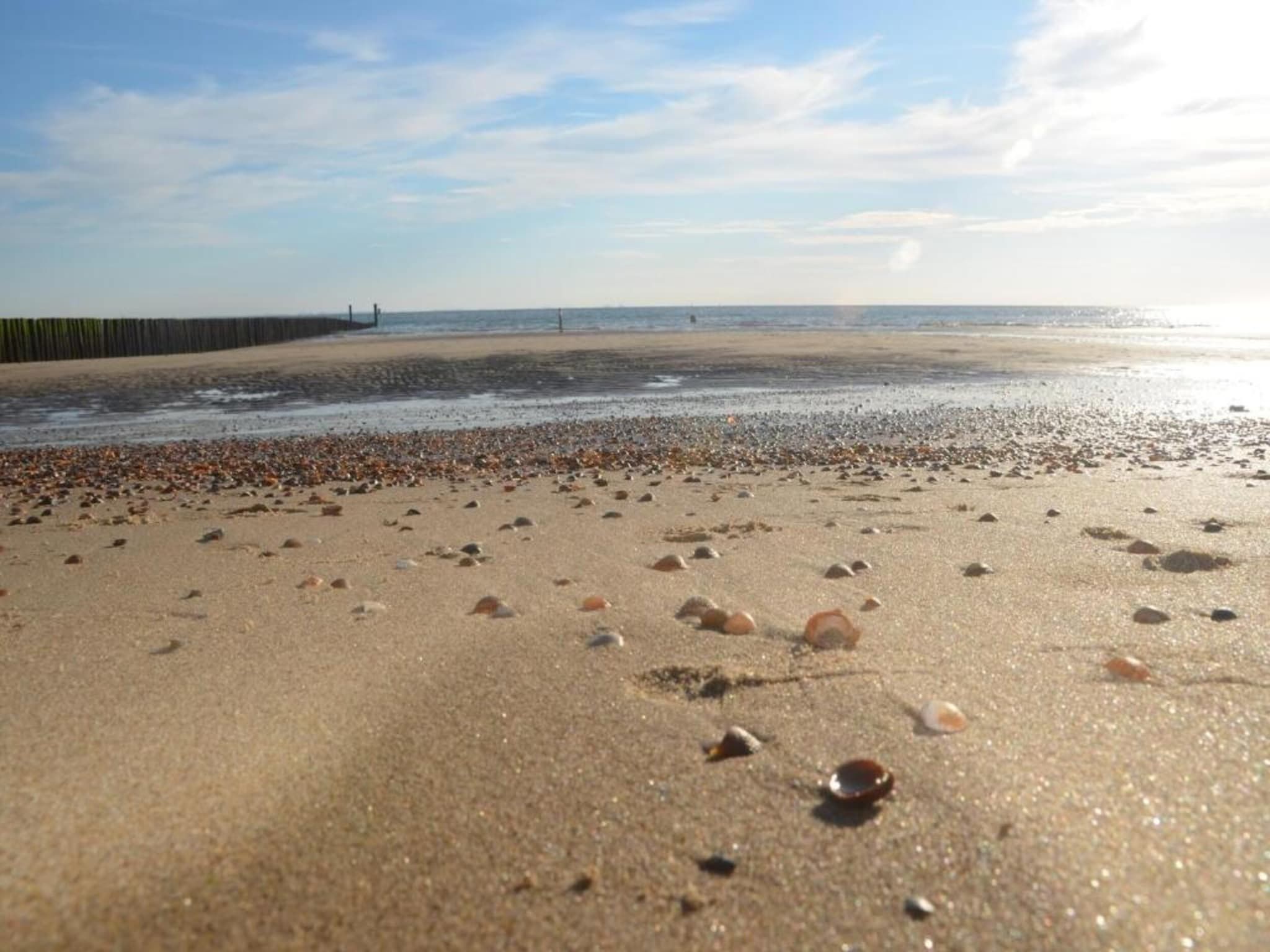 De omgeving van Noordzee Résidence Dishoek 7 in Koudekerke