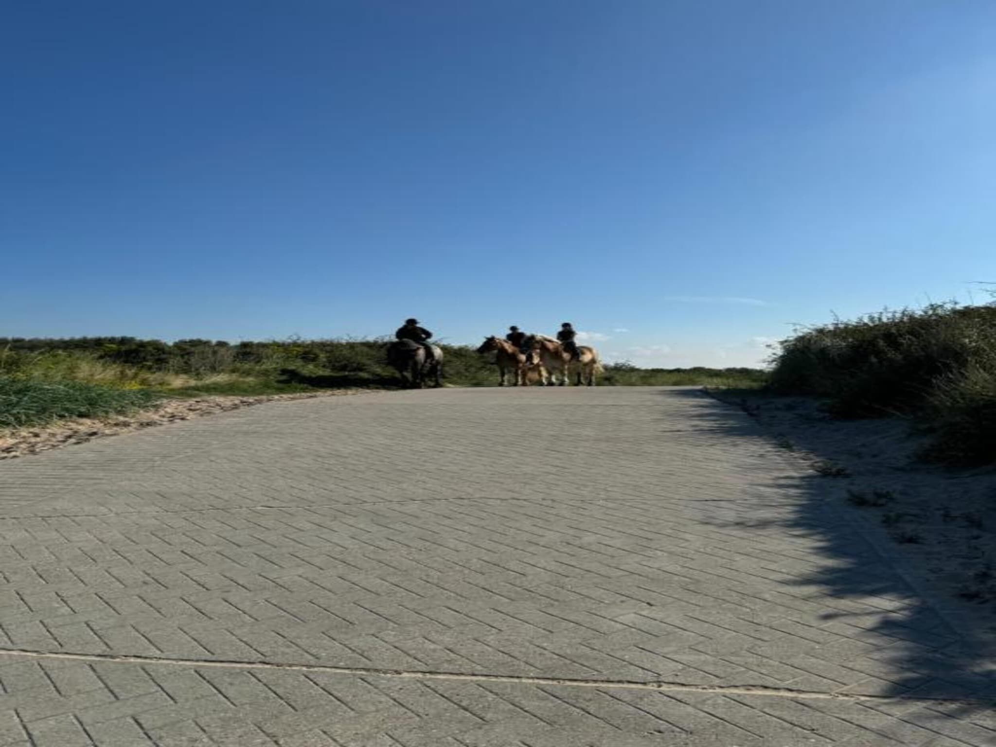 De omgeving van Noordzee Résidence Dishoek 3 in Koudekerke