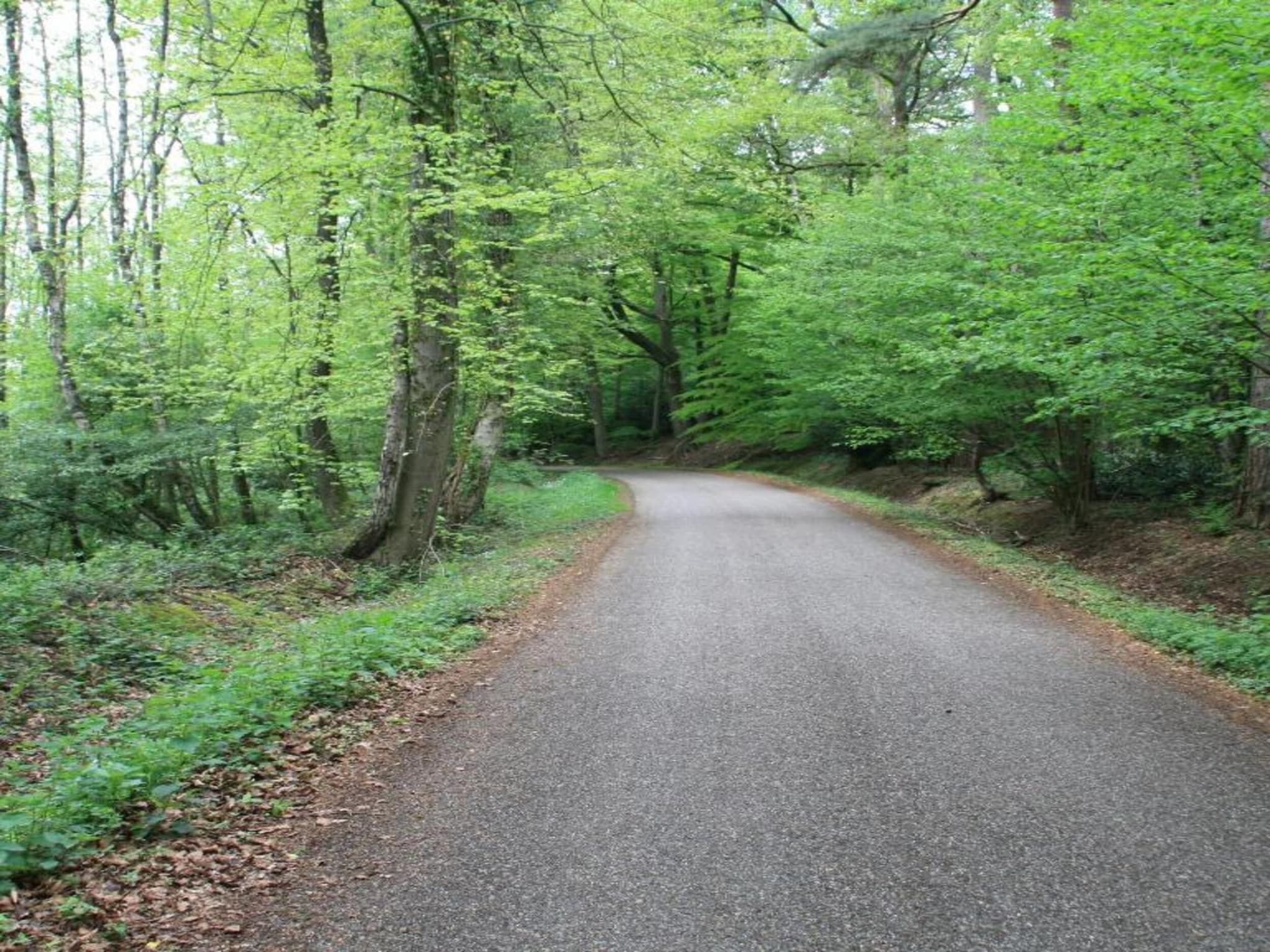 De omgeving van Chaletpark Kuiperberg 4 in Ootmarsum