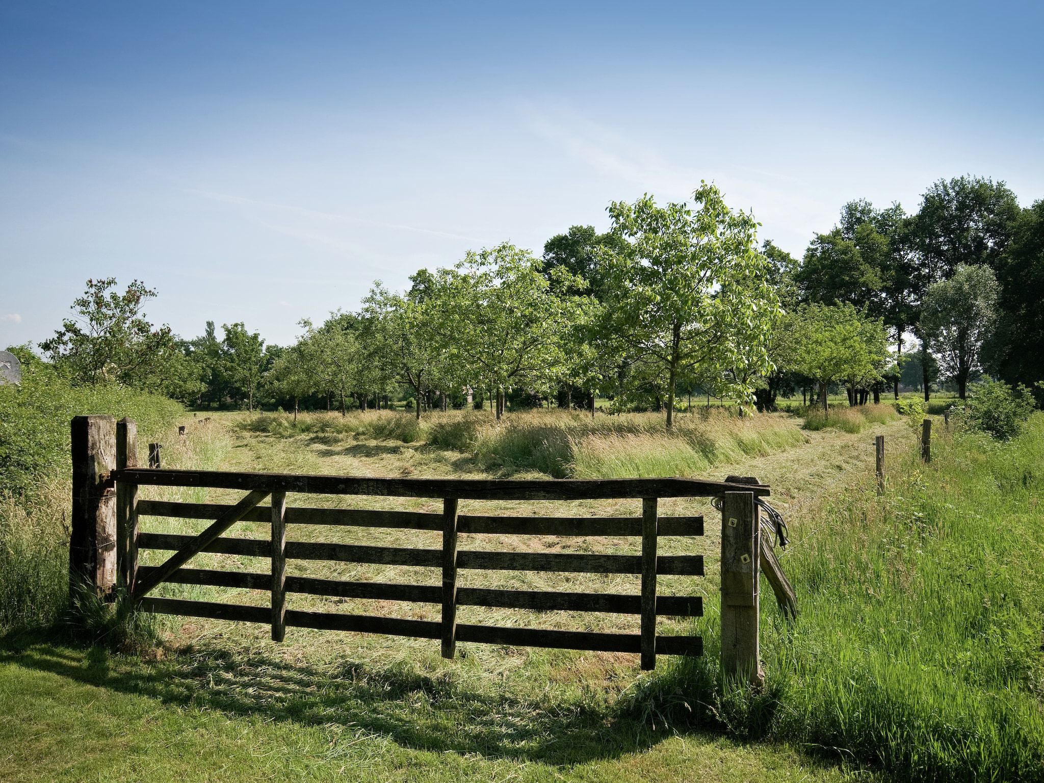 Erve Woolderink in Wierden - Foto 15 van 21