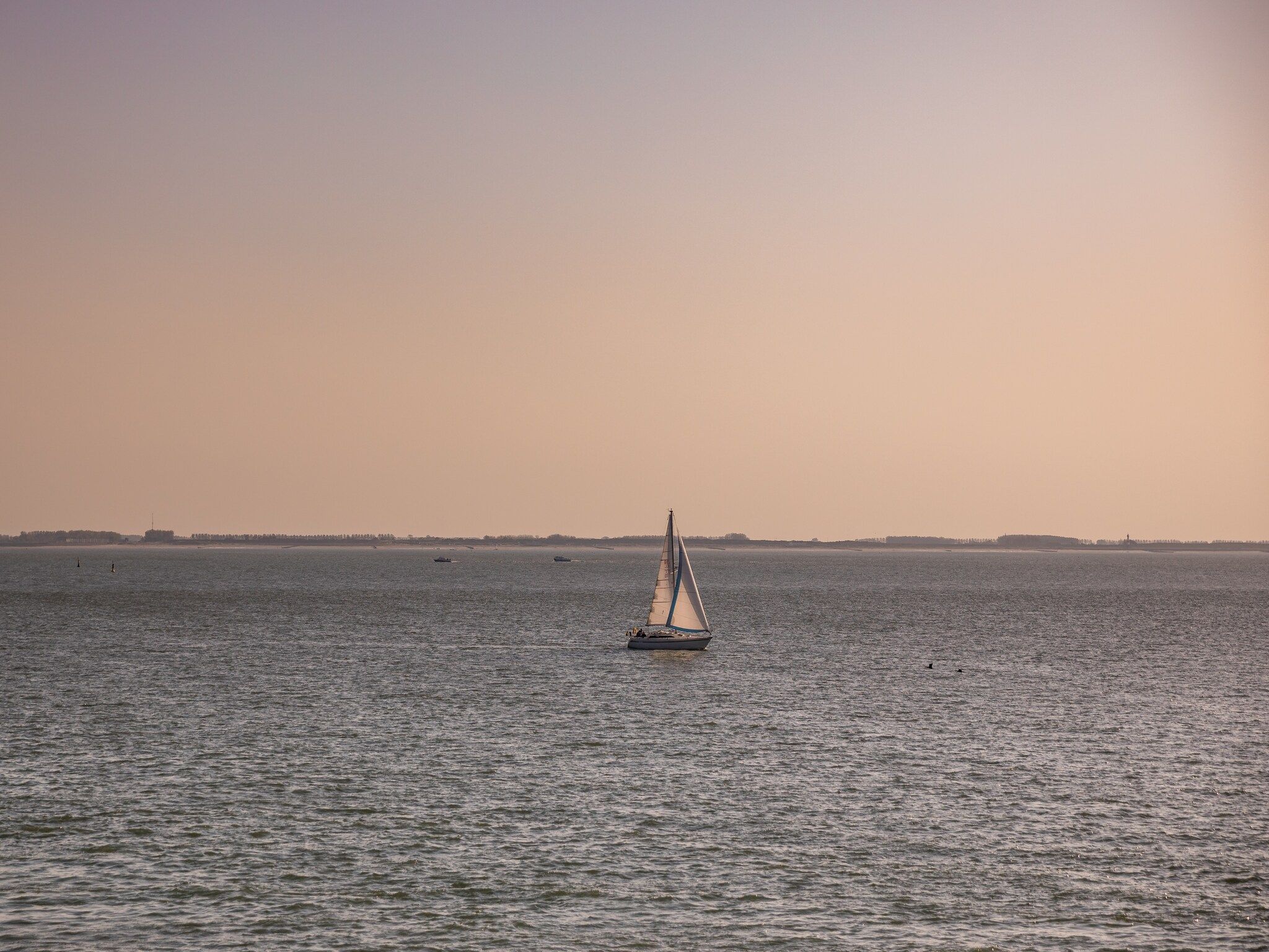 De omgeving van Noordzee Resort Vlissingen 1 in Vlissingen