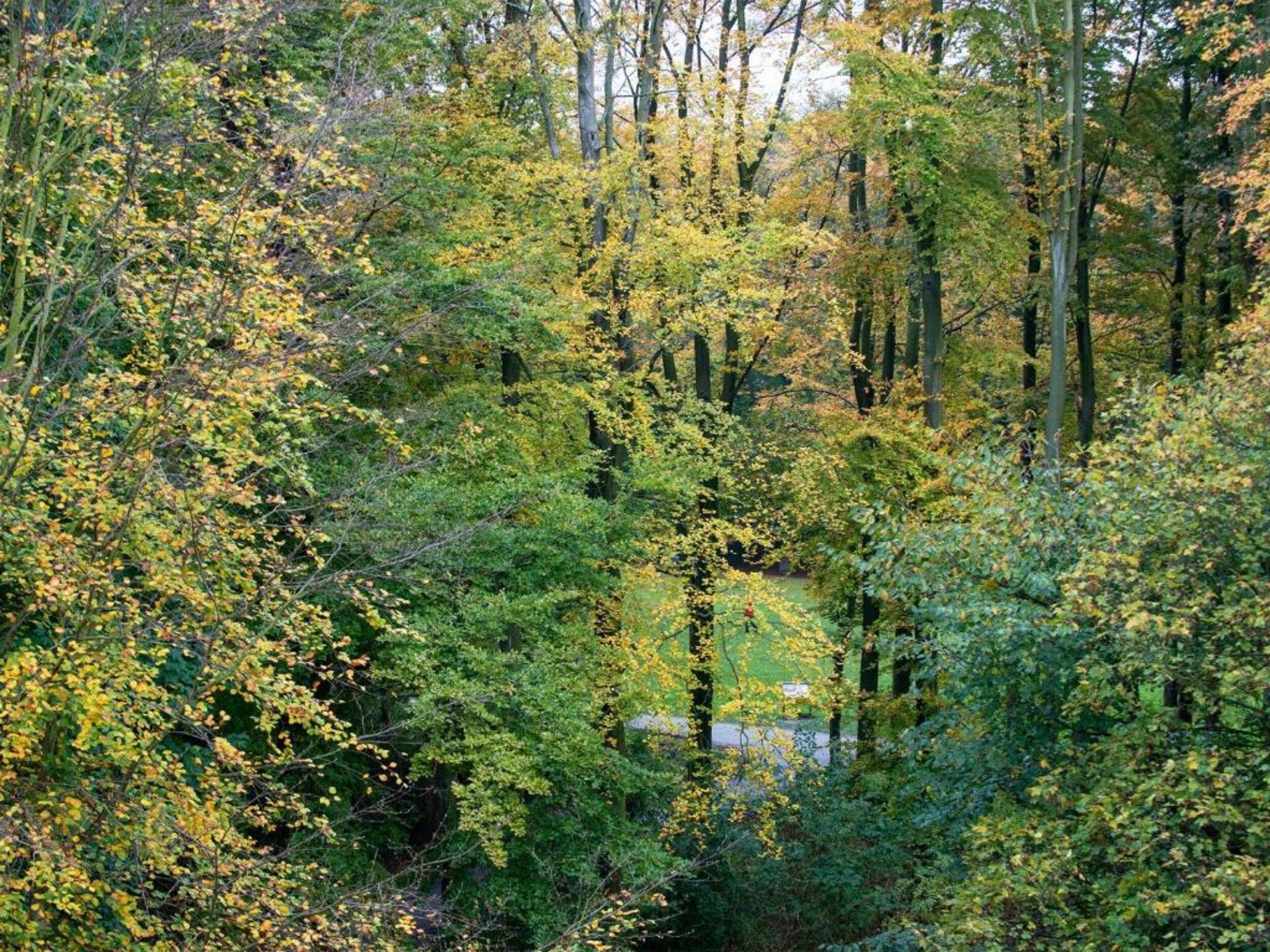 Noordzee Resort Vlissingen 1 in Vlissingen - Foto 35 van 40