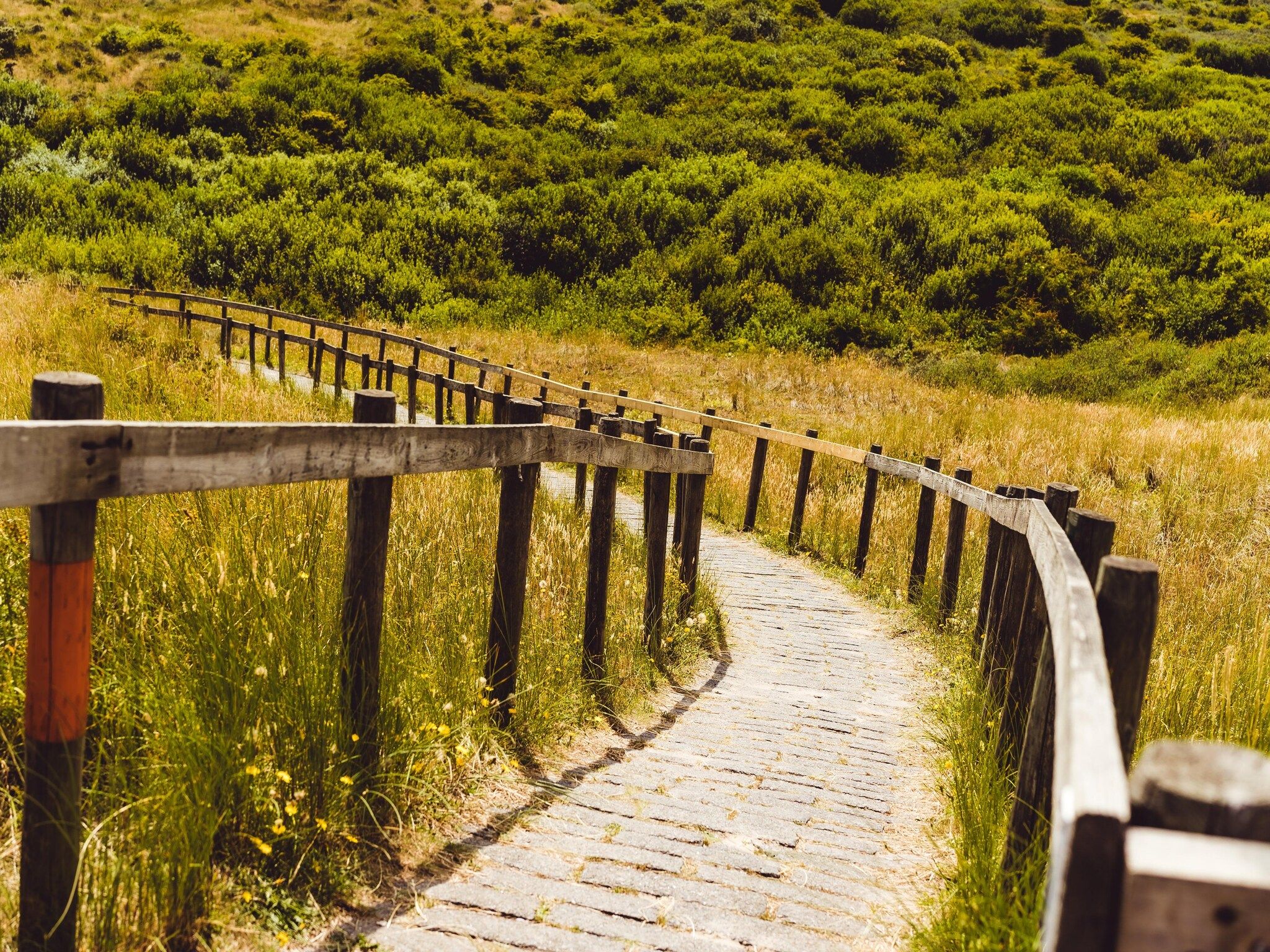 Sea Lodges Ameland 1 in Hollum - Foto 25 van 41