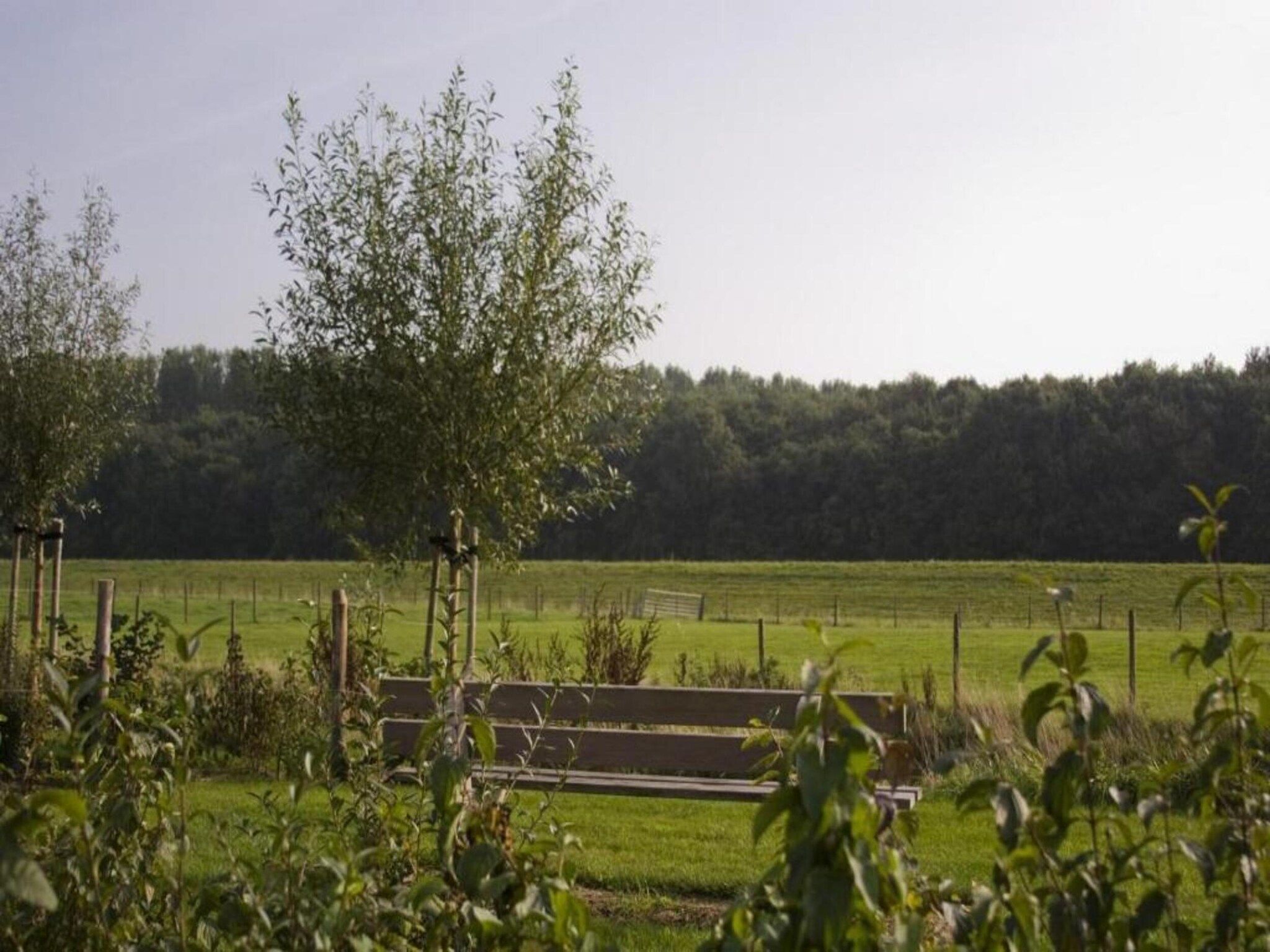 Water Resort Oosterschelde 69 in Wemeldinge - Foto 22 van 40