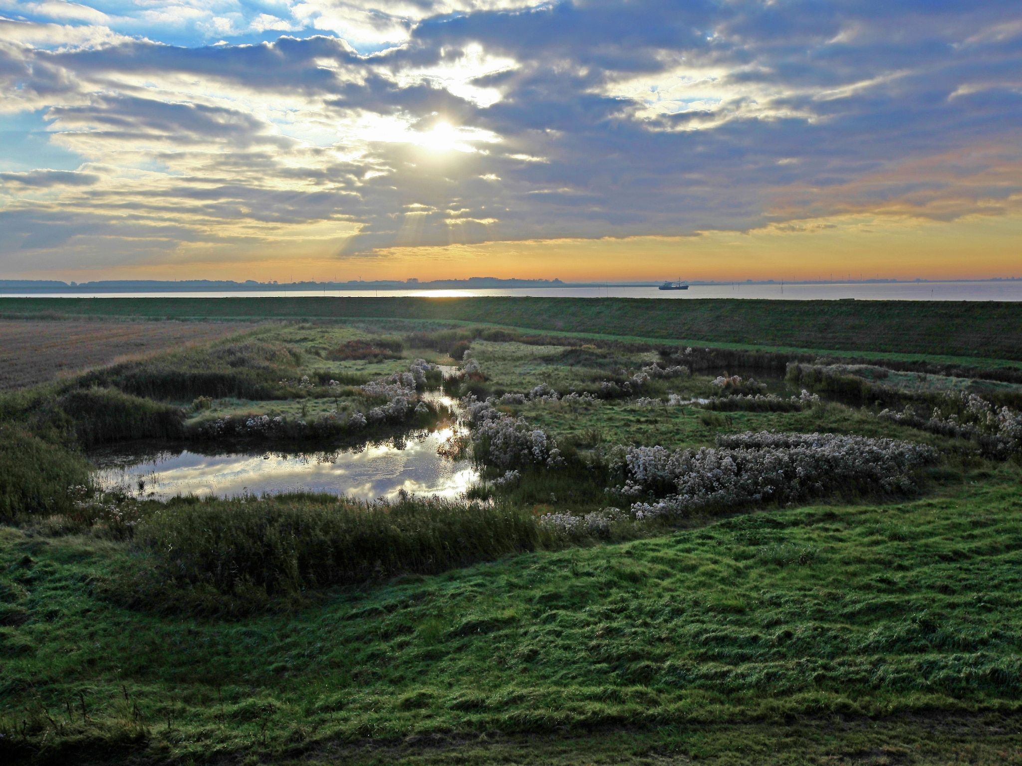 Water Resort Oosterschelde 91 in Wemeldinge - Foto 19 van 40