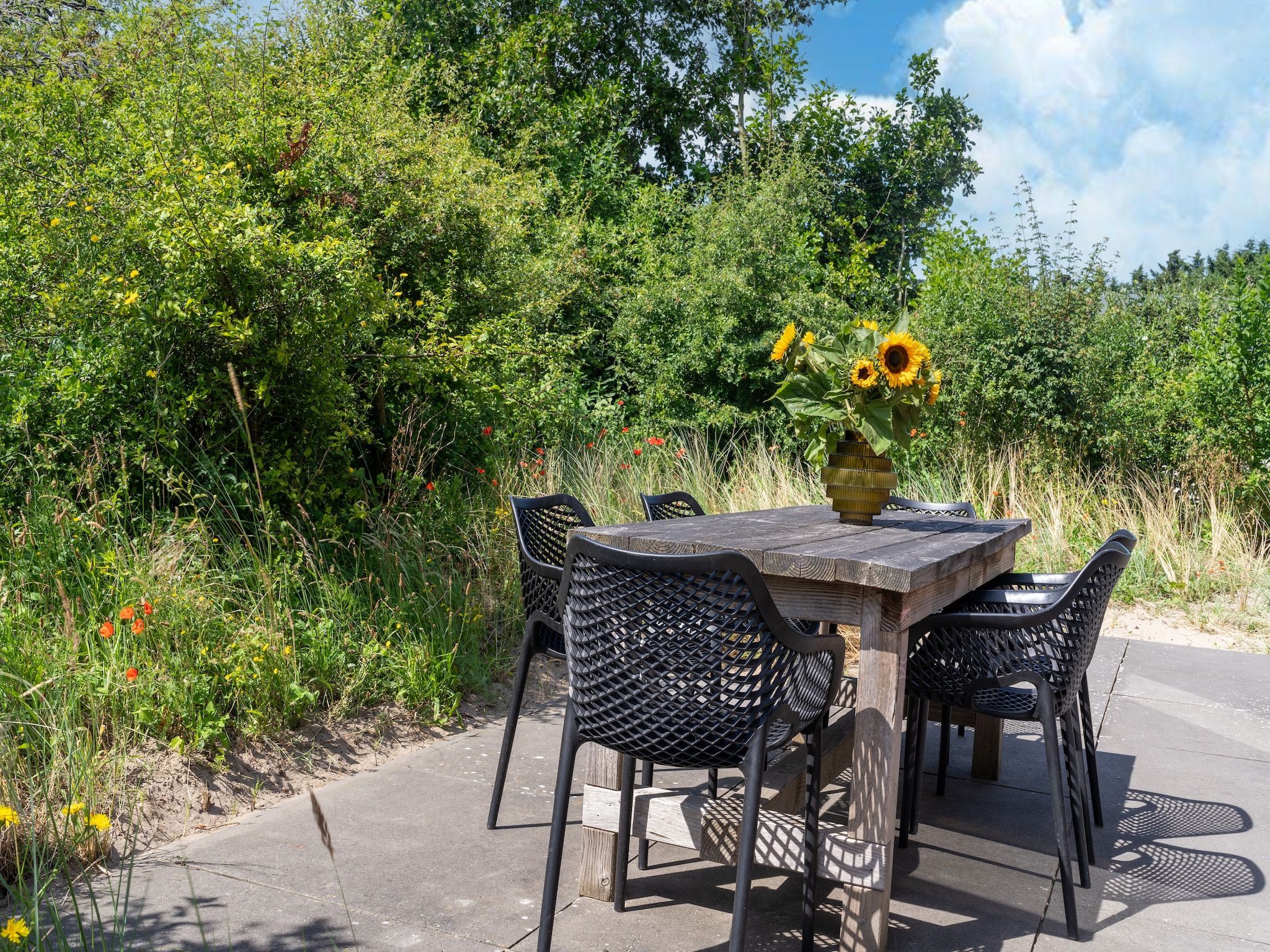 Het terras van Waterland in Egmond aan den Hoef