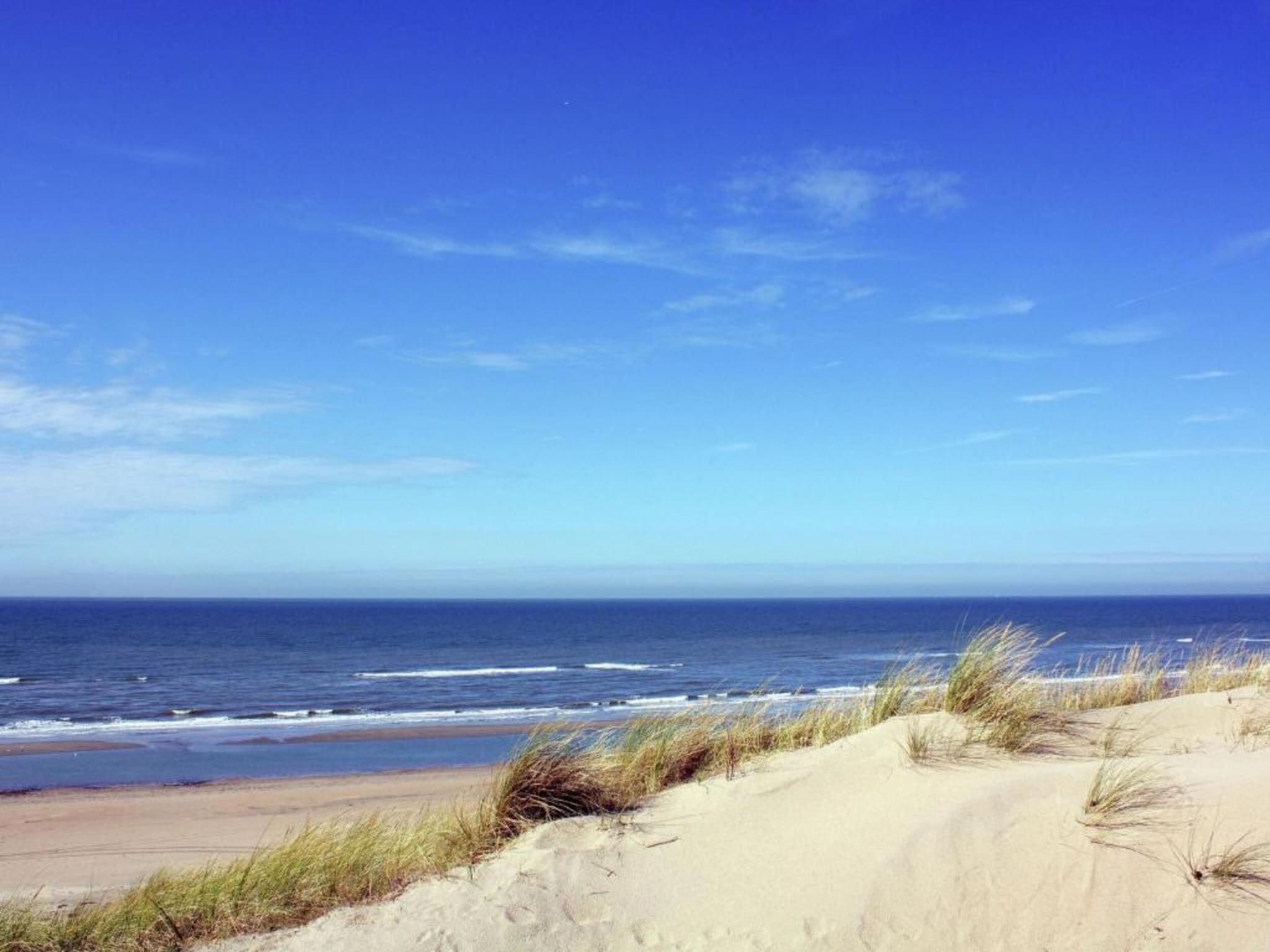 De omgeving van Bungalowpark de Gouden Spar 5 in Noordwijk