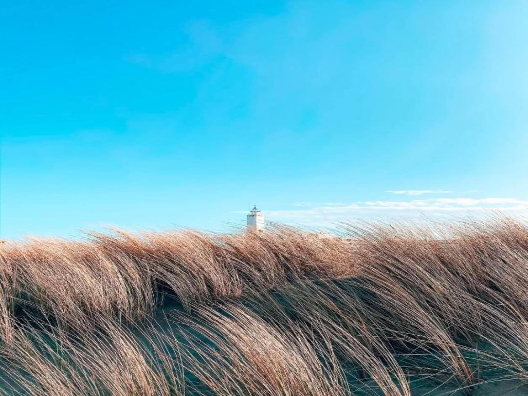 De omgeving van Bungalowpark de Gouden Spar 5 in Noordwijk