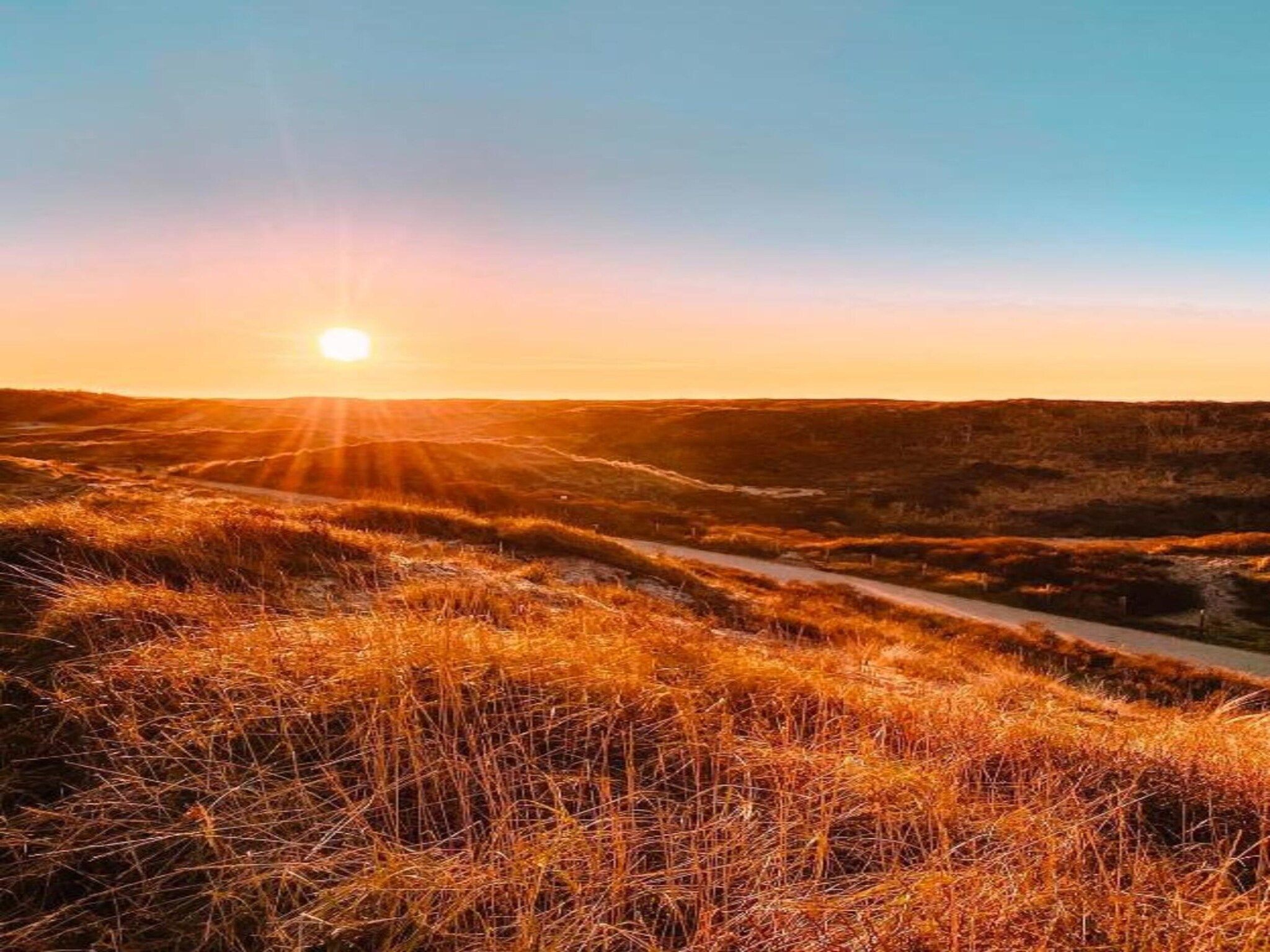 De omgeving van Bungalowpark de Gouden Spar 5 in Noordwijk