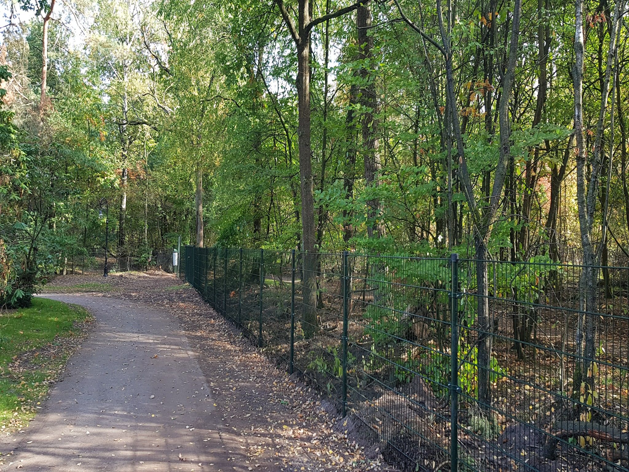 Het uitzicht vanaf Vakantiepark De Rimboe & De Woeste Hoogte 1 in Hoenderloo