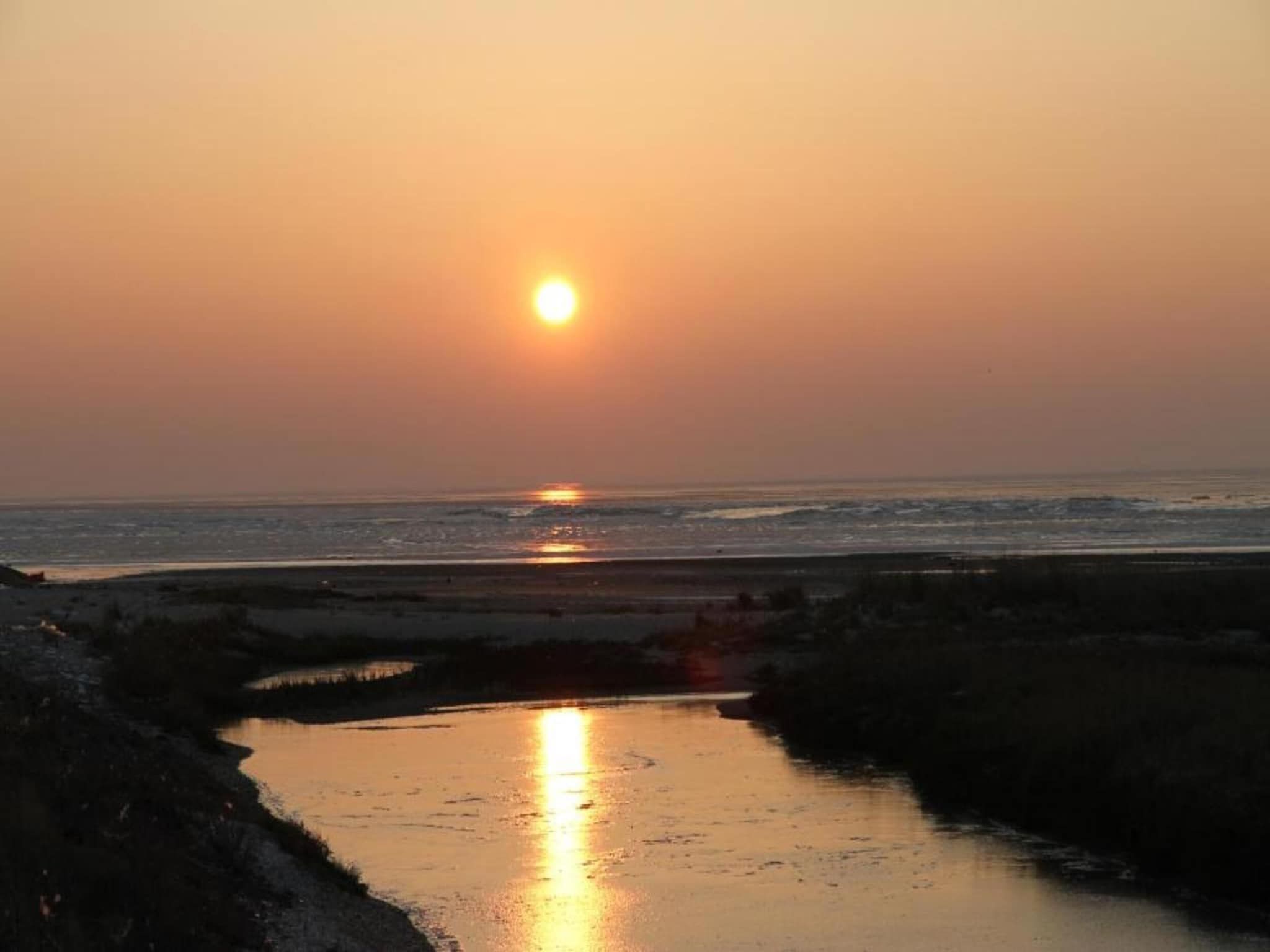 Vakantiepark Boomhiemke 11 in Hollum - Foto 37 van 40