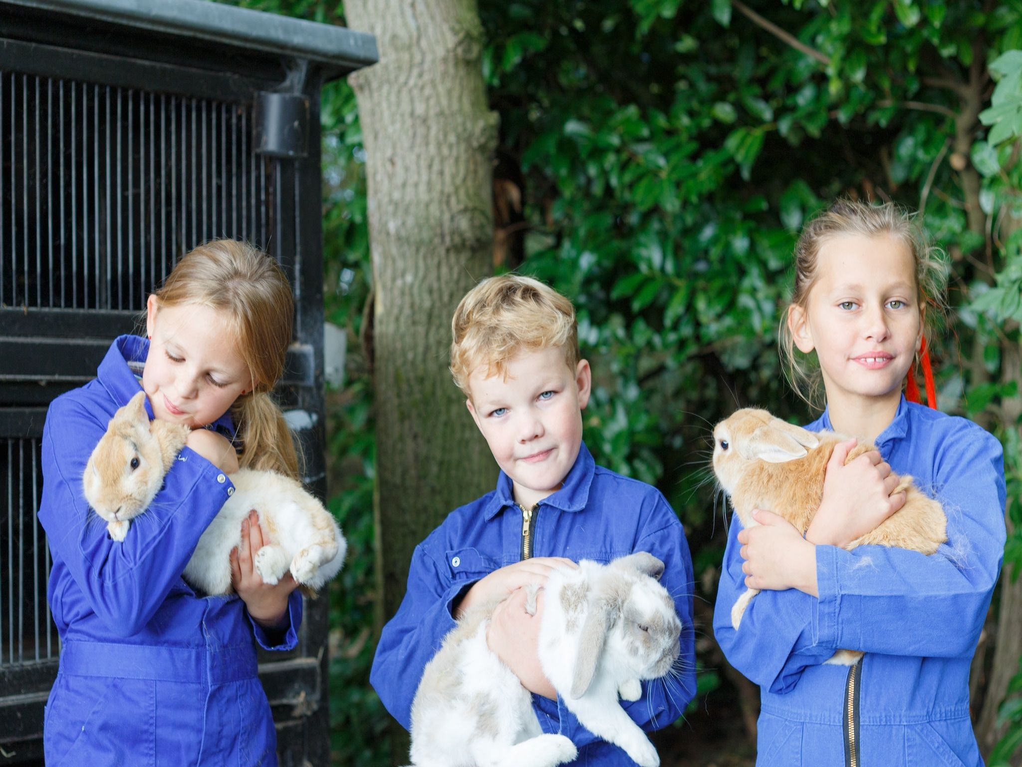 Parkfaciliteiten bij Landrijk de Reesprong 2 in Buurse