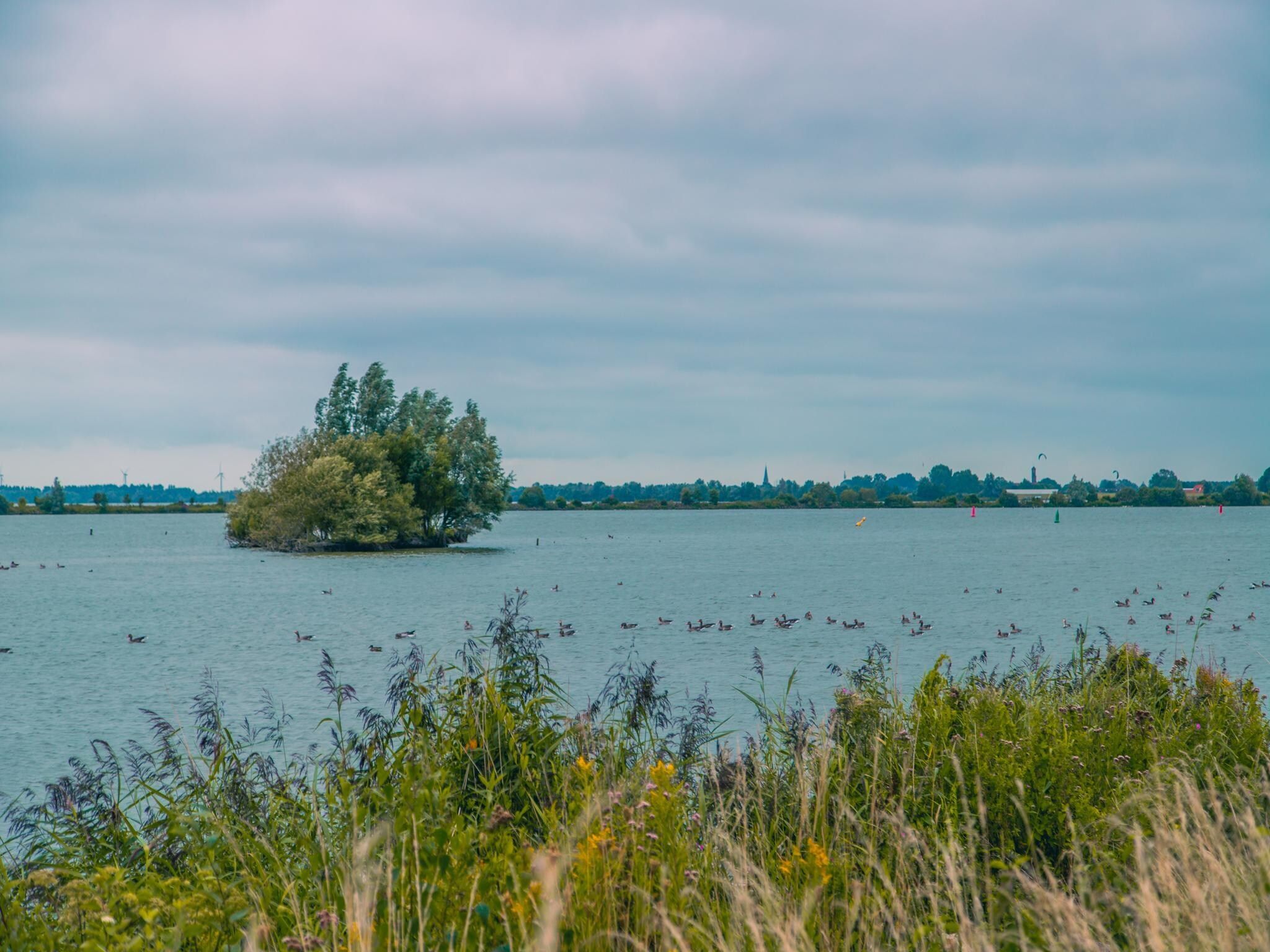 De omgeving van Dijkhuis 6 in Medemblik