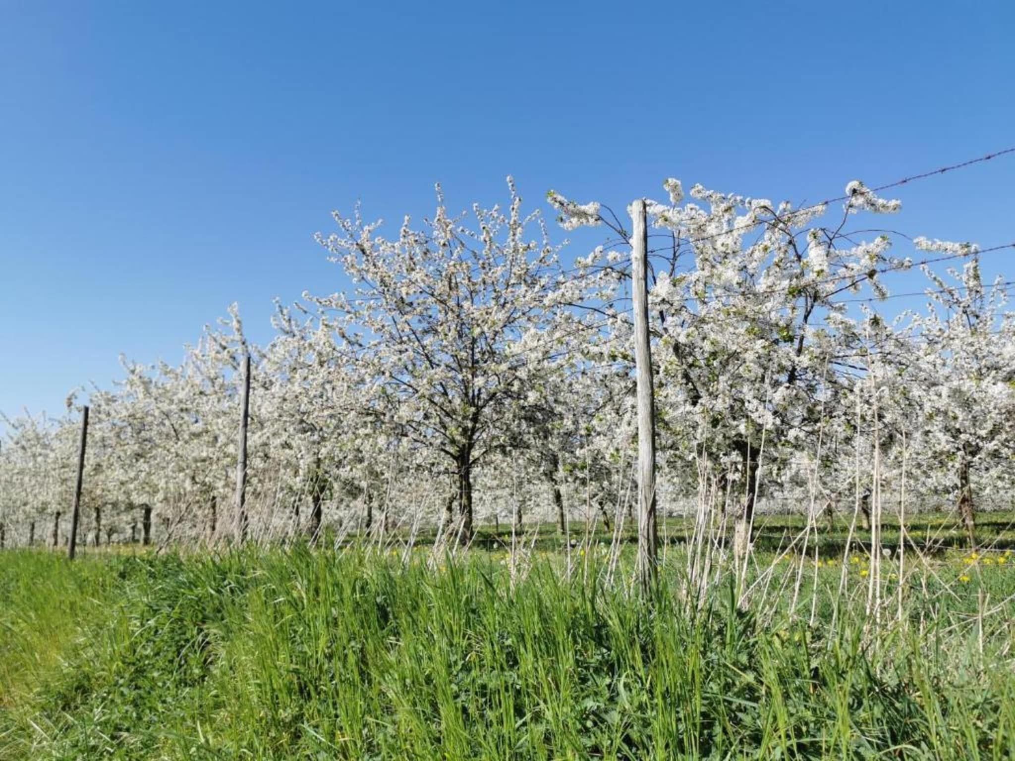 Resort Maastricht 8 in Maastricht - Foto 33 van 39