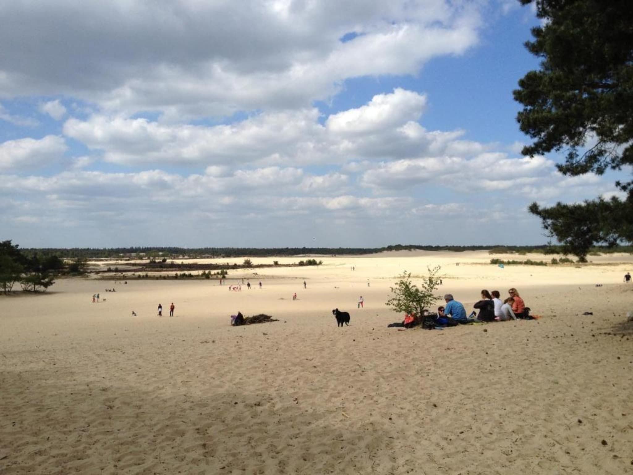 Recreatiepark Duinhoeve 5 in Udenhout - Foto 39 van 40