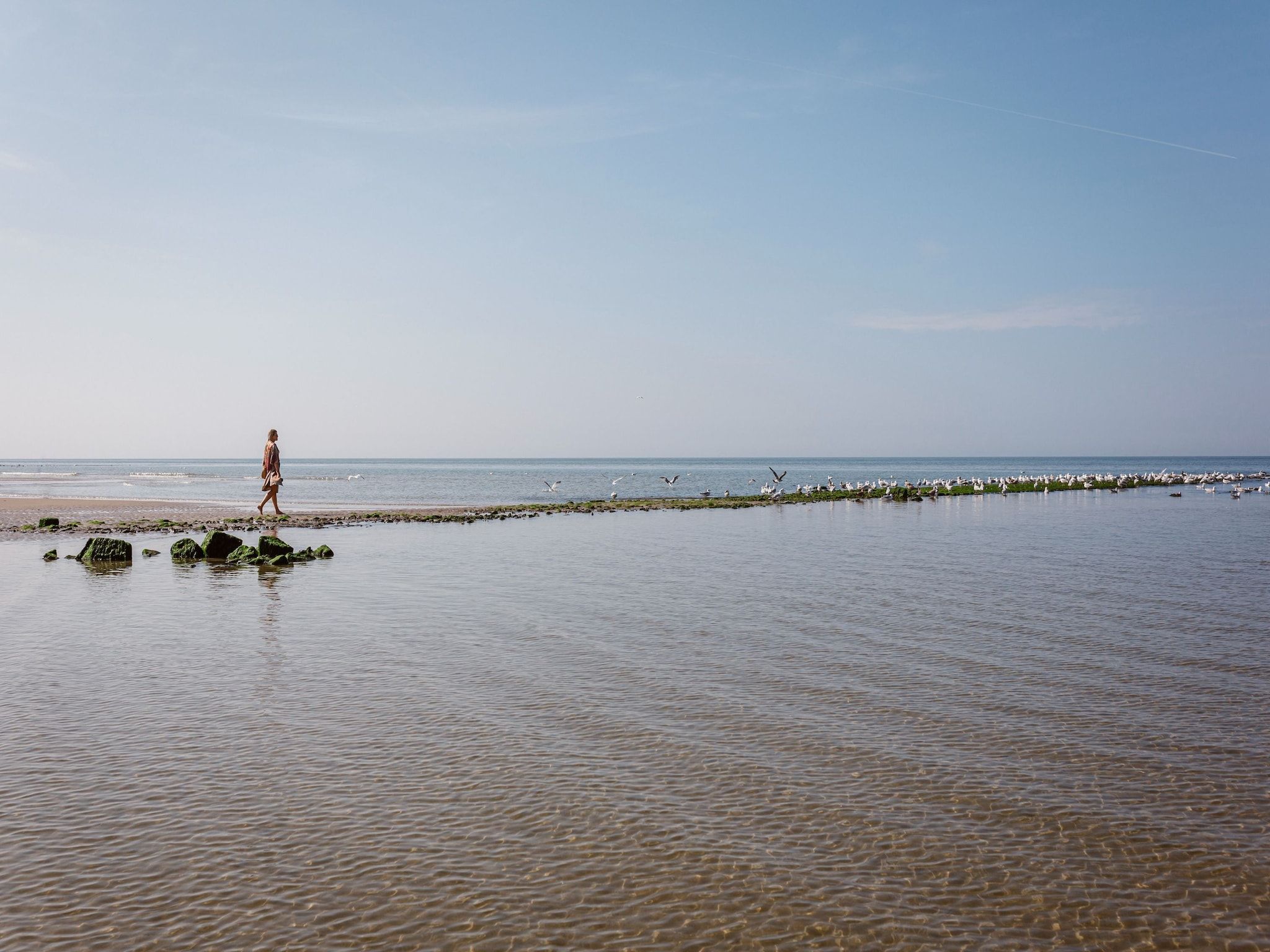 Vakantiepark Duynzicht 1 in Julianadorp - Foto 13 van 34