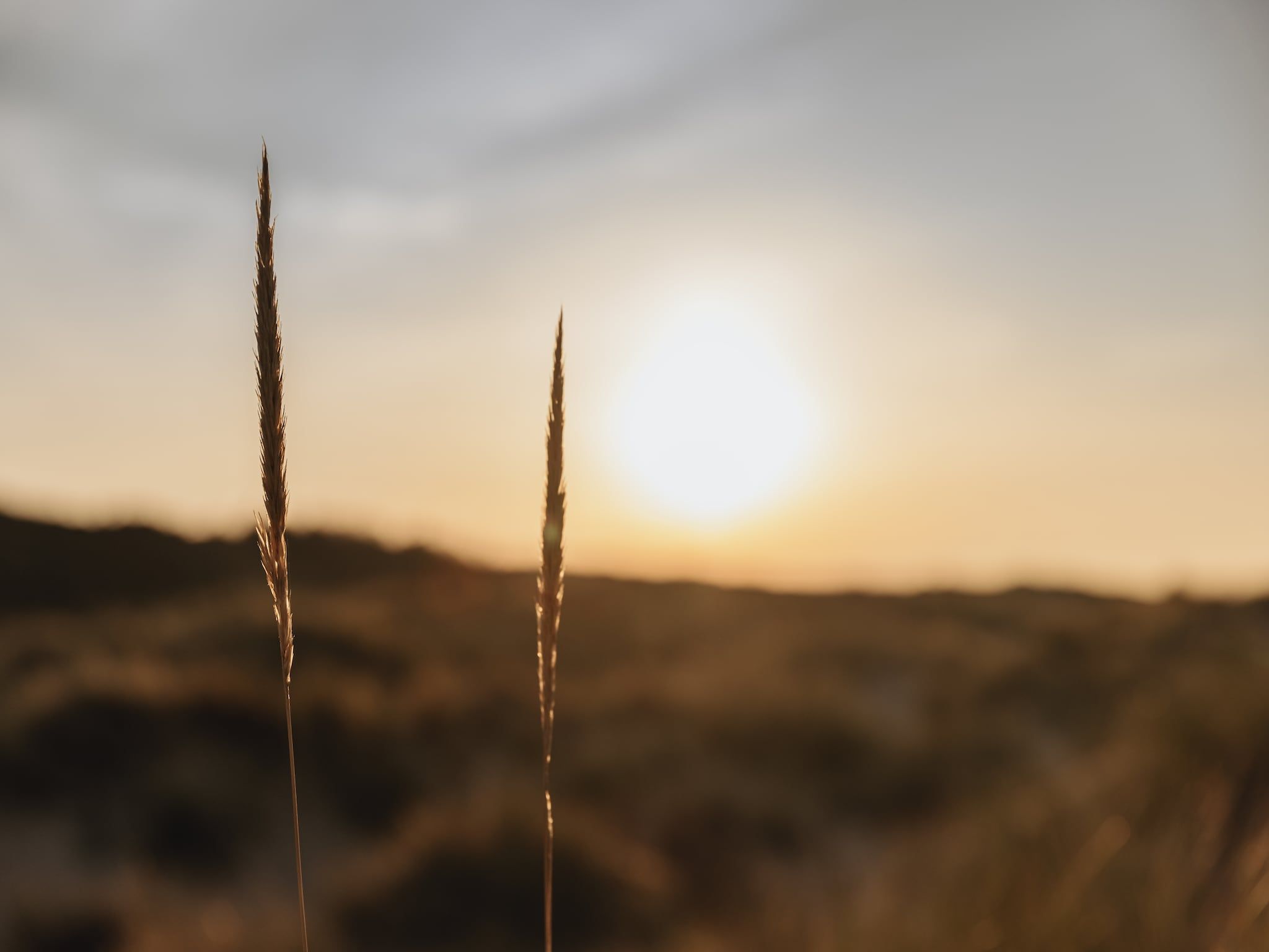 Vakantiepark Duynzicht 1 in Julianadorp - Foto 17 van 34