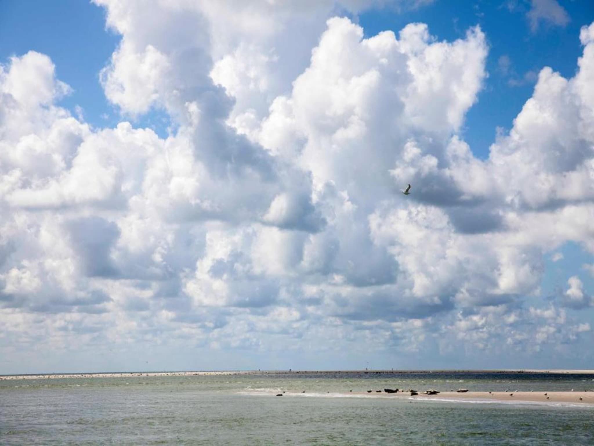 De omgeving van Vakantiepark Duynzicht 1 in Julianadorp