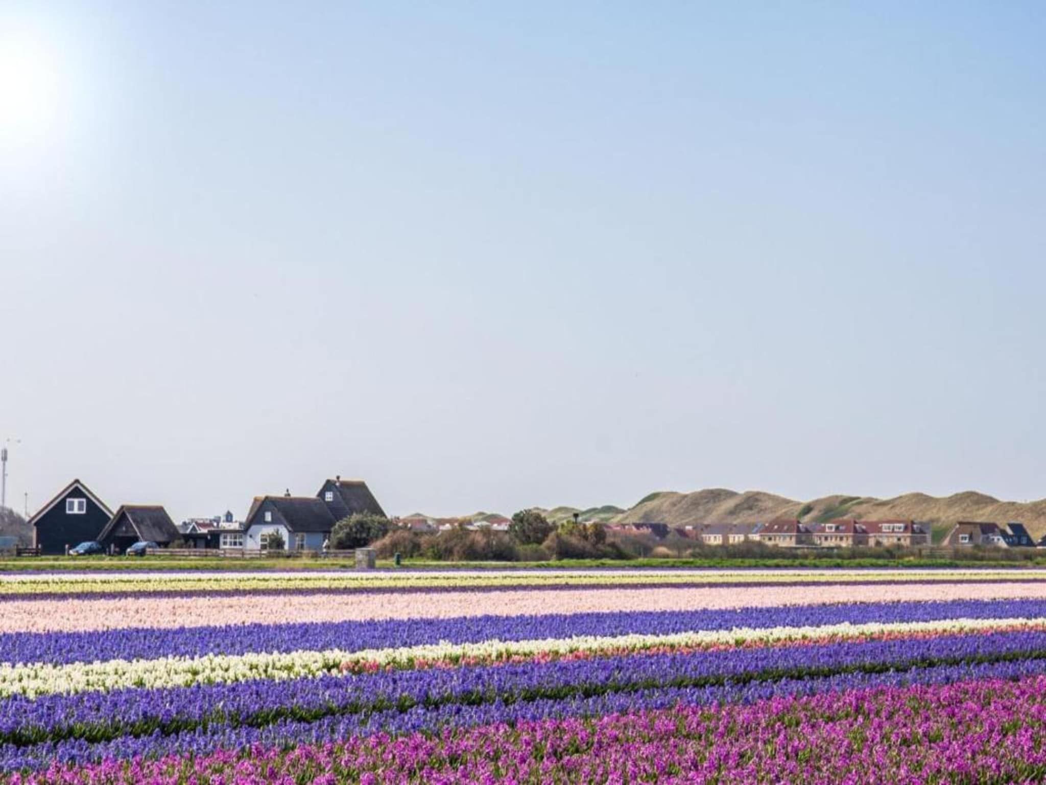 De omgeving van Vakantiepark Duynzicht 1 in Julianadorp