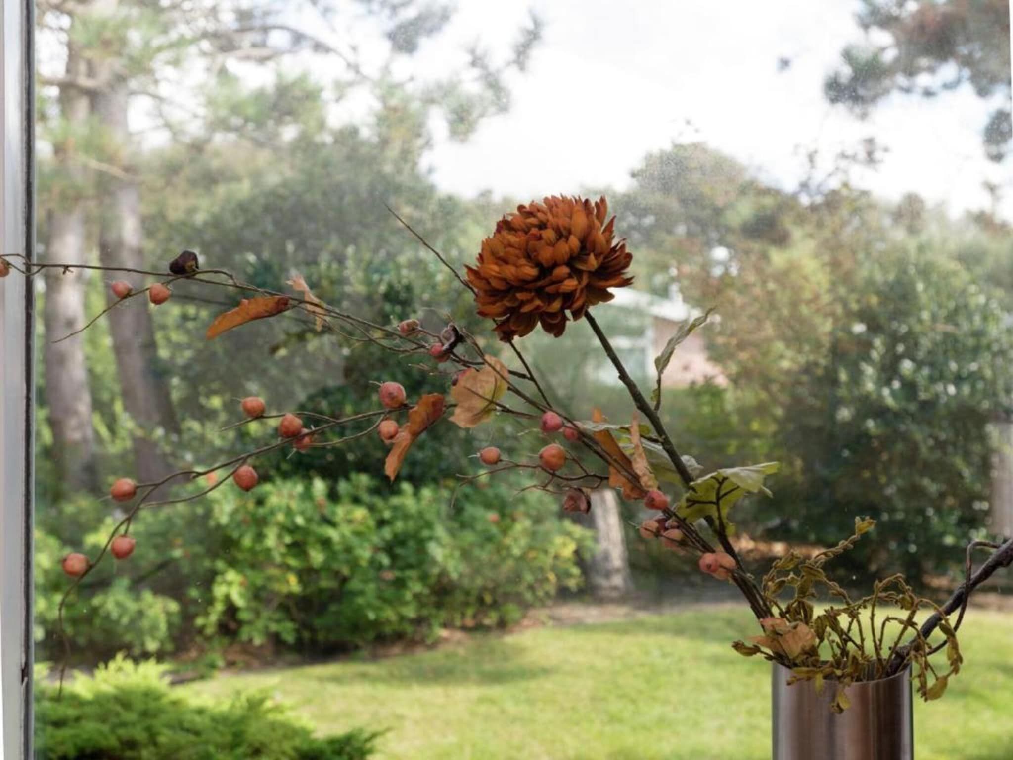 De omgeving van Vakantiepark Duynzicht 1 in Julianadorp