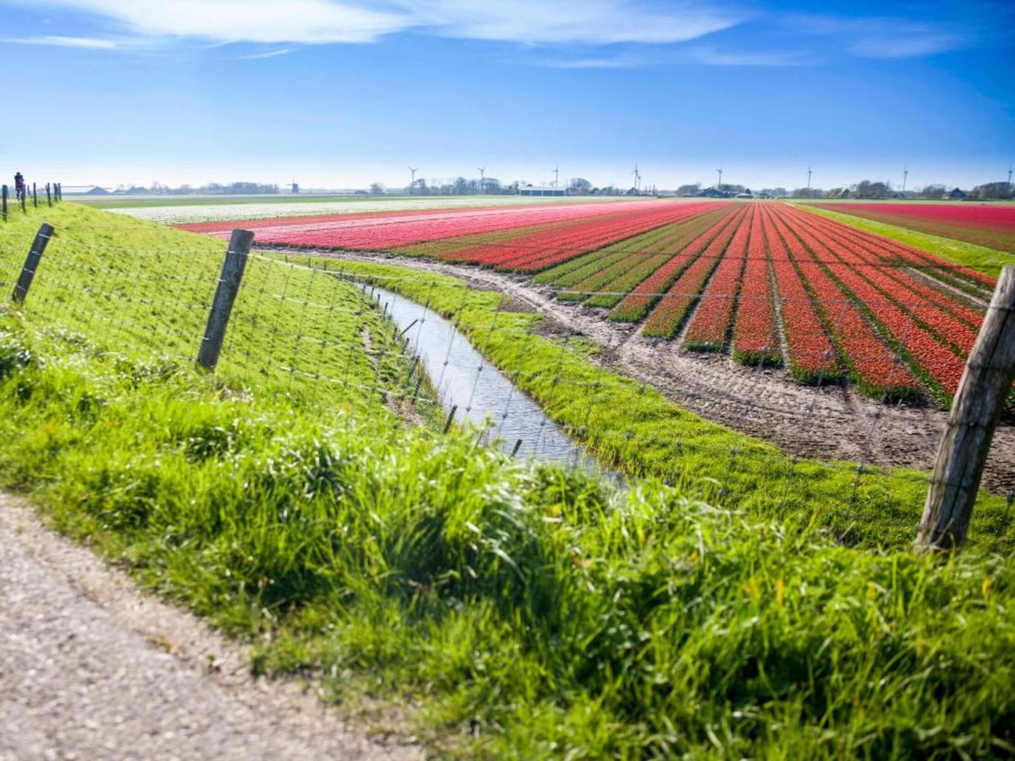 De omgeving van Vakantiepark Duynzicht 1 in Julianadorp