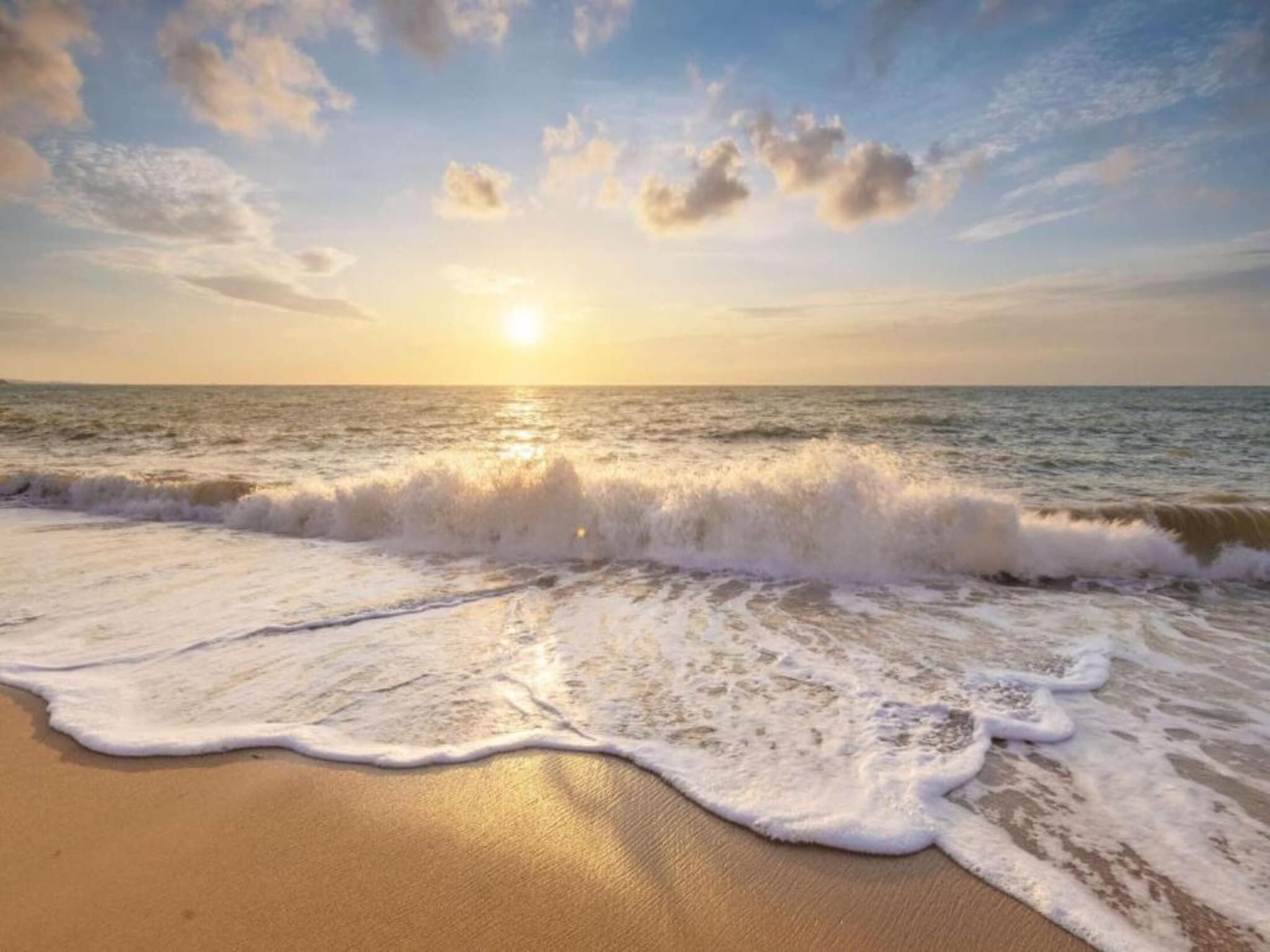 De omgeving van Vakantiepark Duynzicht 1 in Julianadorp