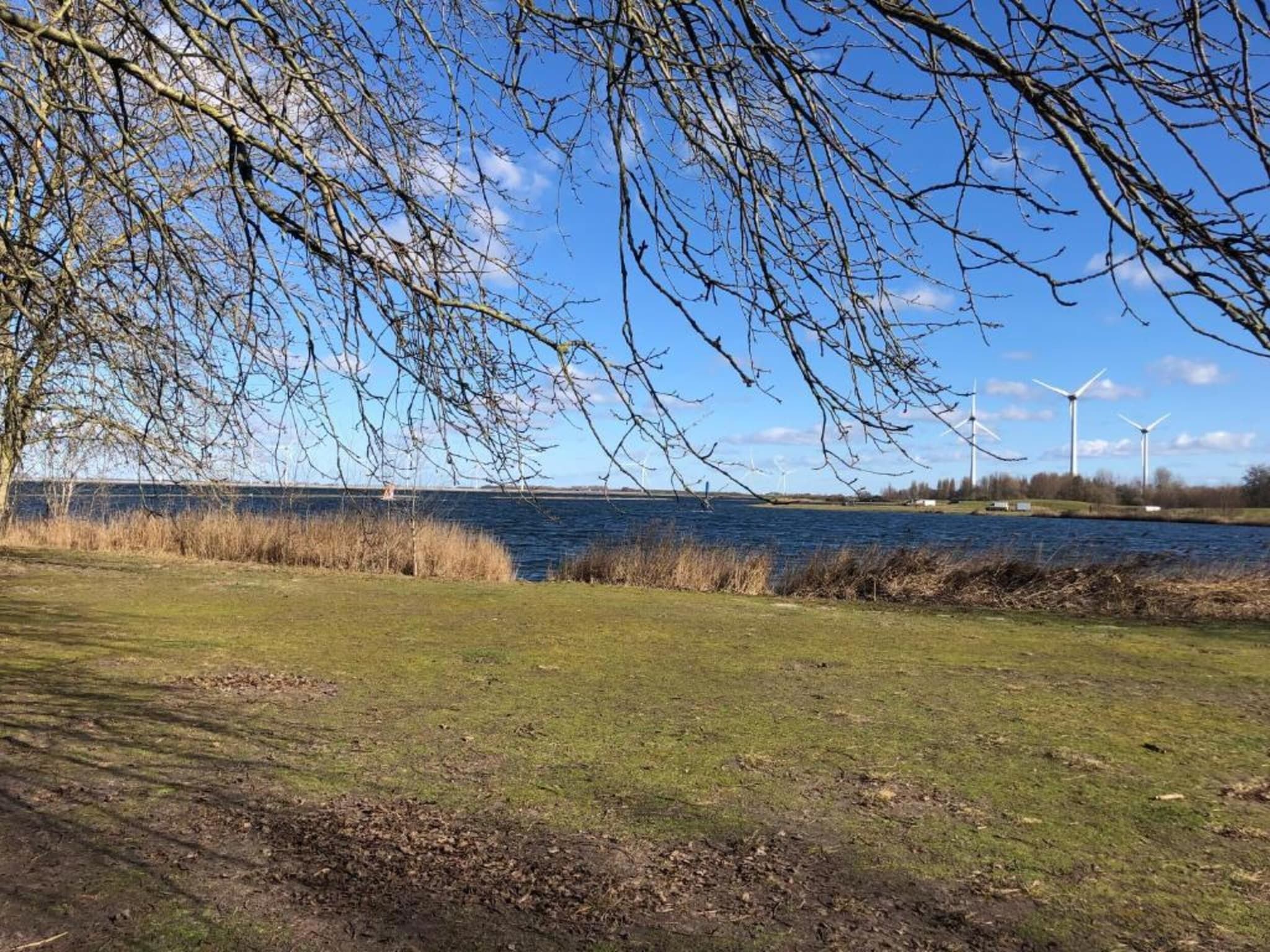 Aquadelta 28 in Bruinisse - Foto 13 van 43