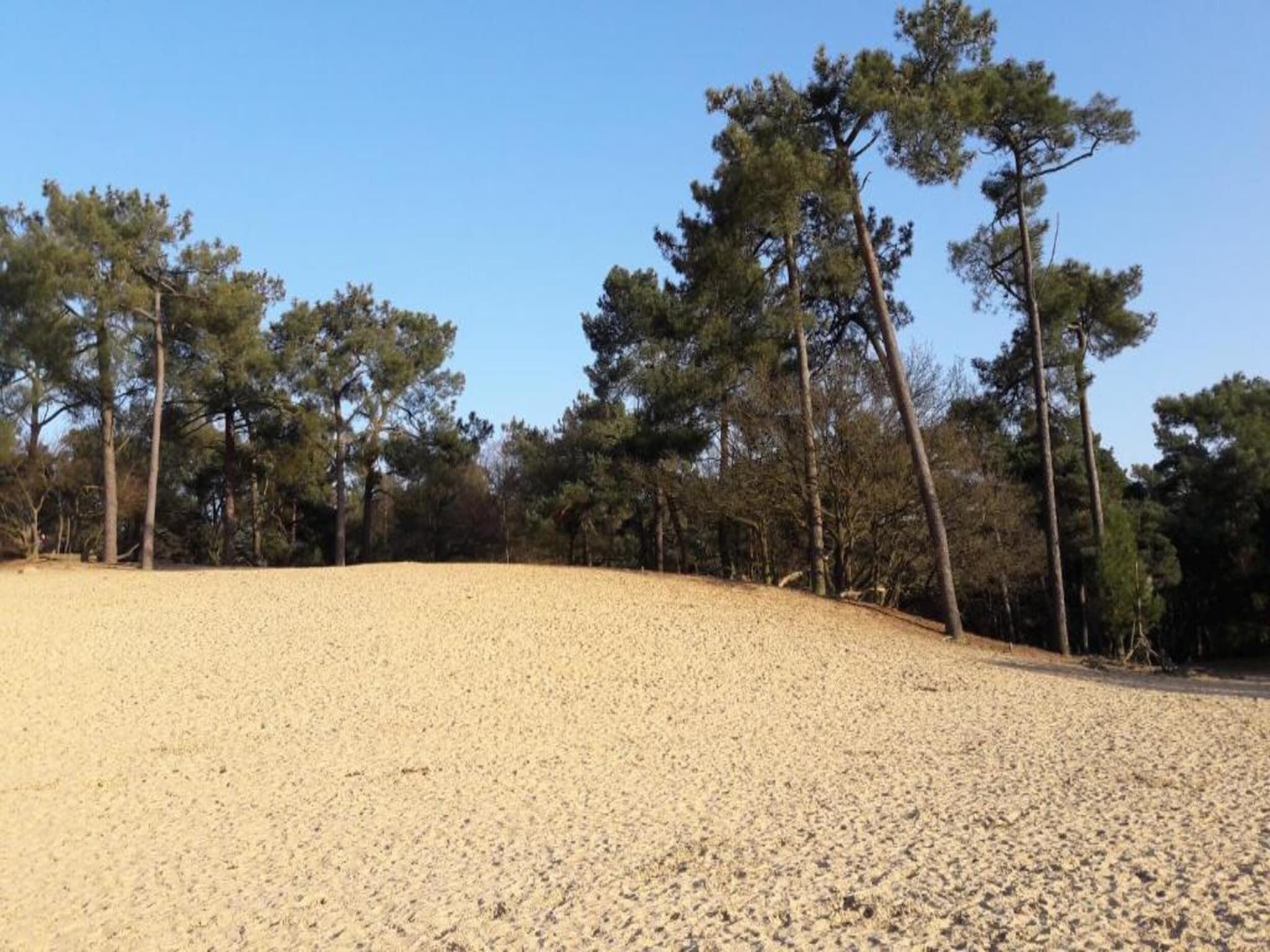 Recreatiepark Duinhoeve 9 in Udenhout - Foto 30 van 40