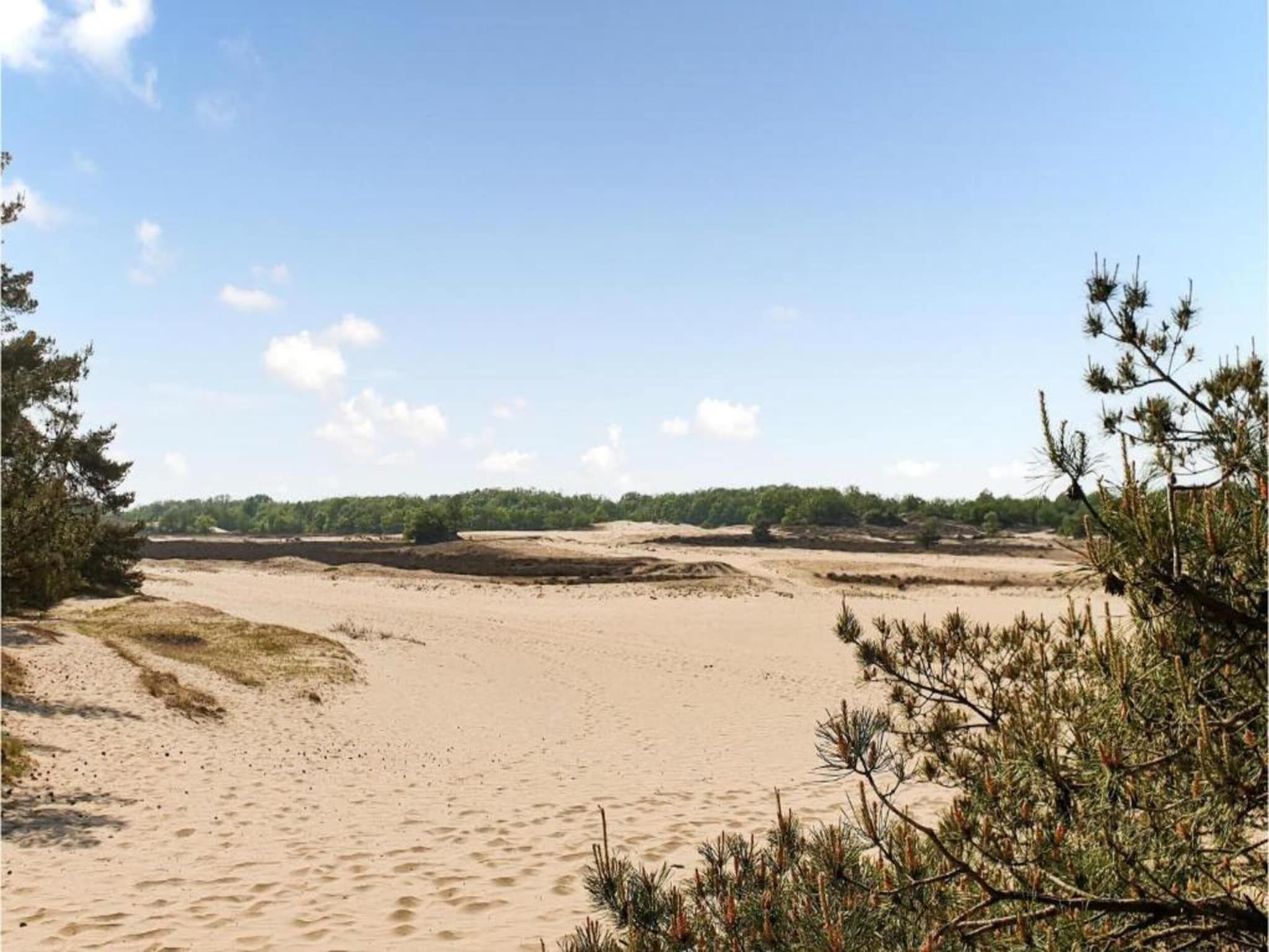 Recreatiepark Duinhoeve 9 in Udenhout - Foto 28 van 40