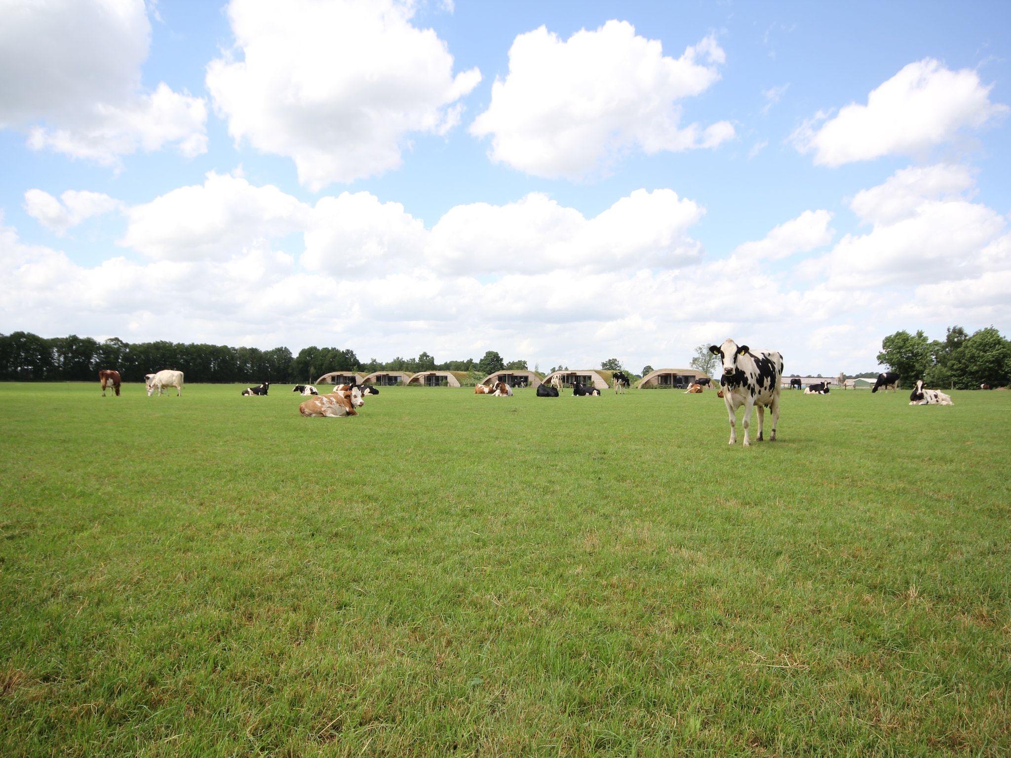Het uitzicht vanaf Koe in de Kost 2 in Heeten
