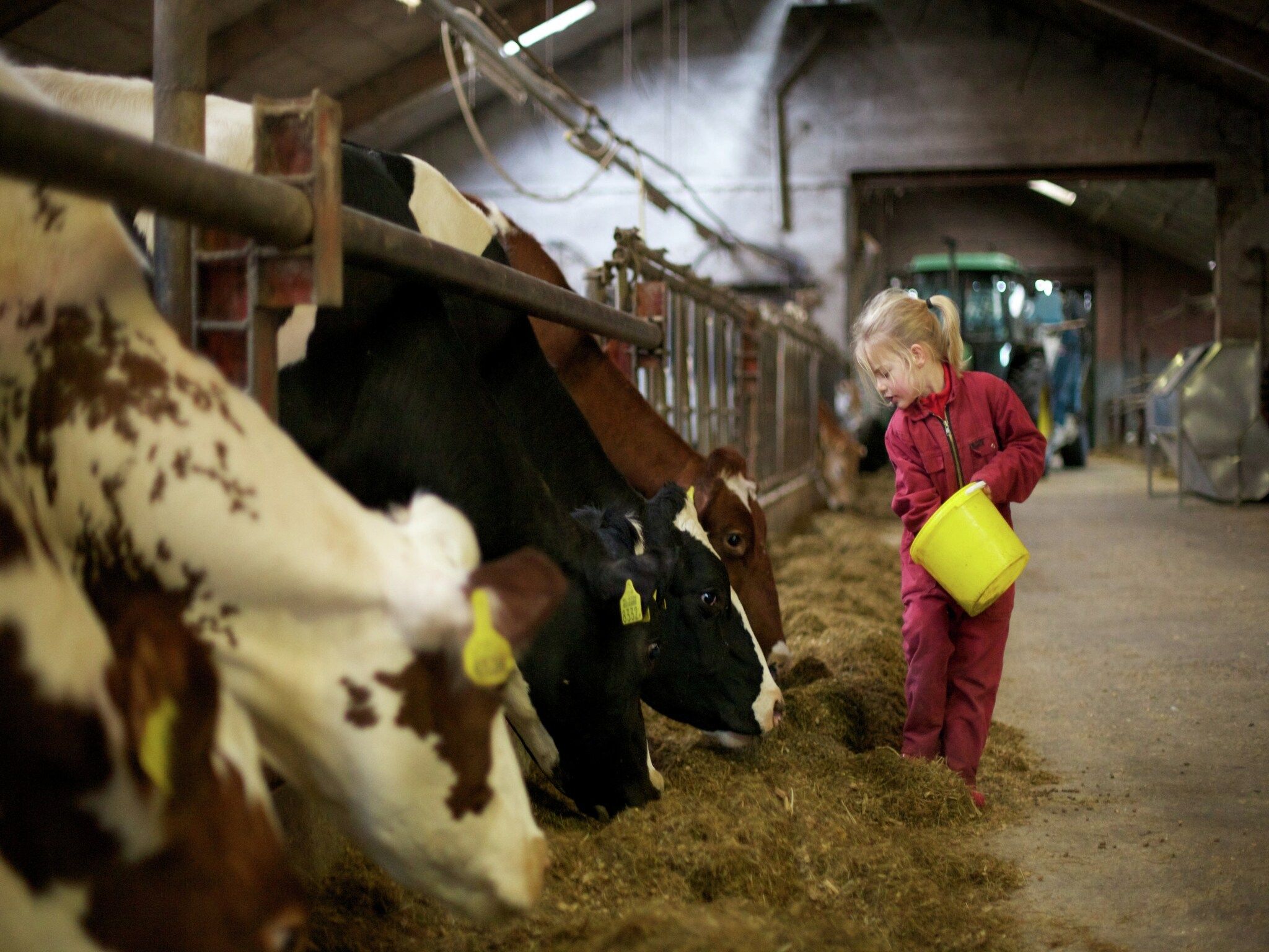 Parkfaciliteiten bij Koe in de Kost 2 in Heeten