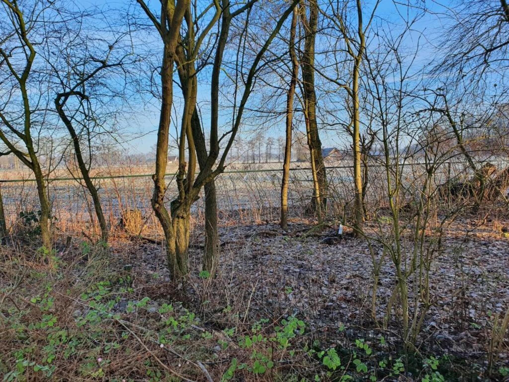 Koe in de Kost 2 in Heeten - Foto 18 van 31