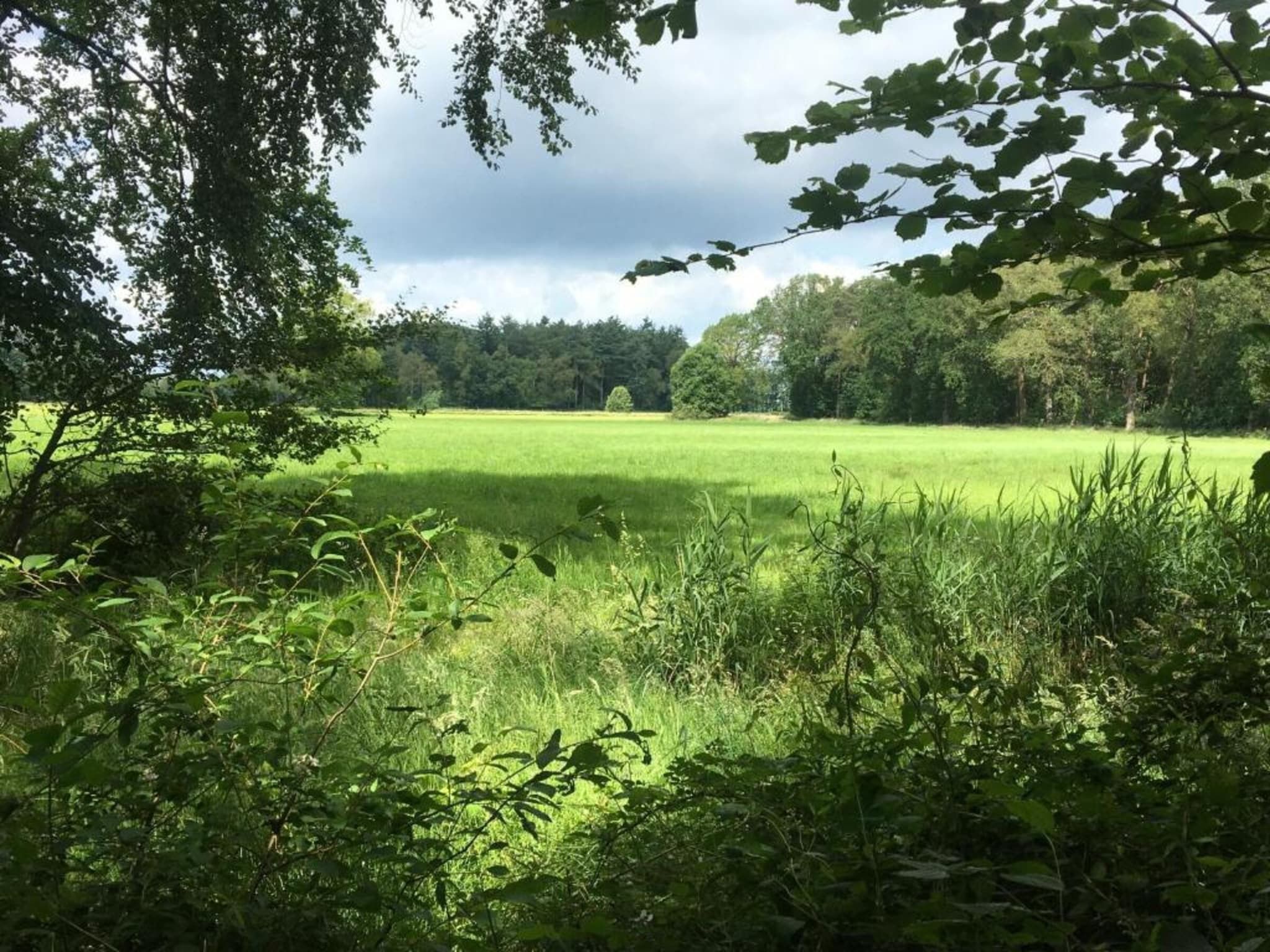 Koe in de Kost 2 in Heeten - Foto 23 van 31