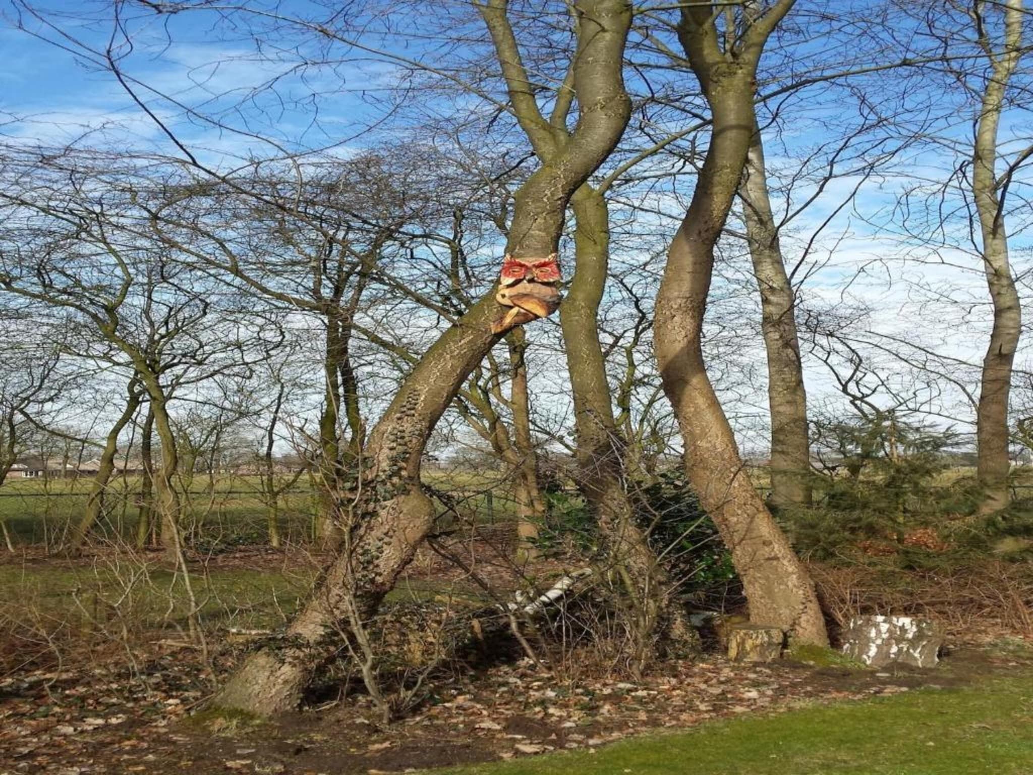 Koe in de Kost 2 in Heeten - Foto 25 van 31