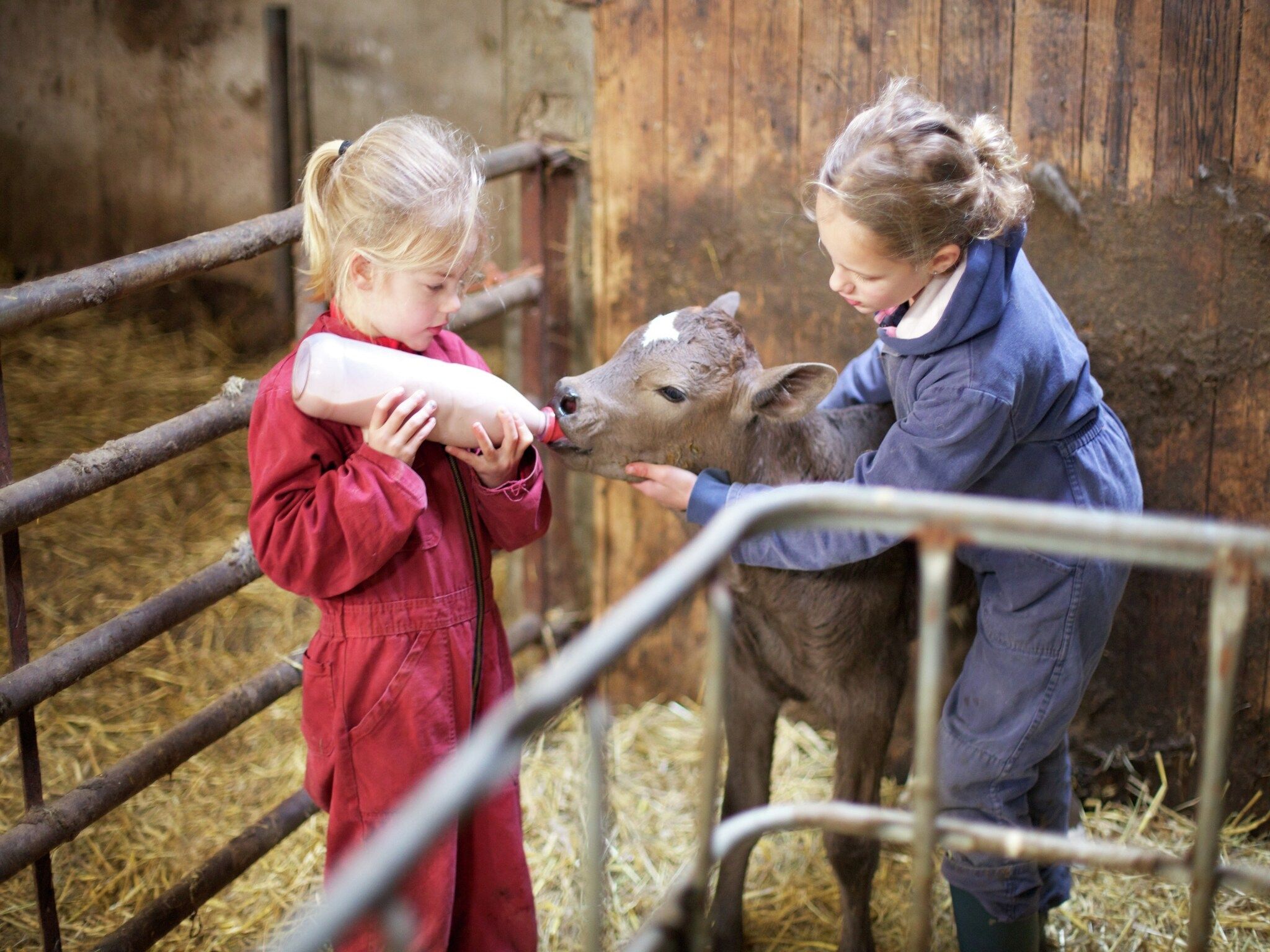 Voorzieningen bij Koe in de Kost 3 in Heeten