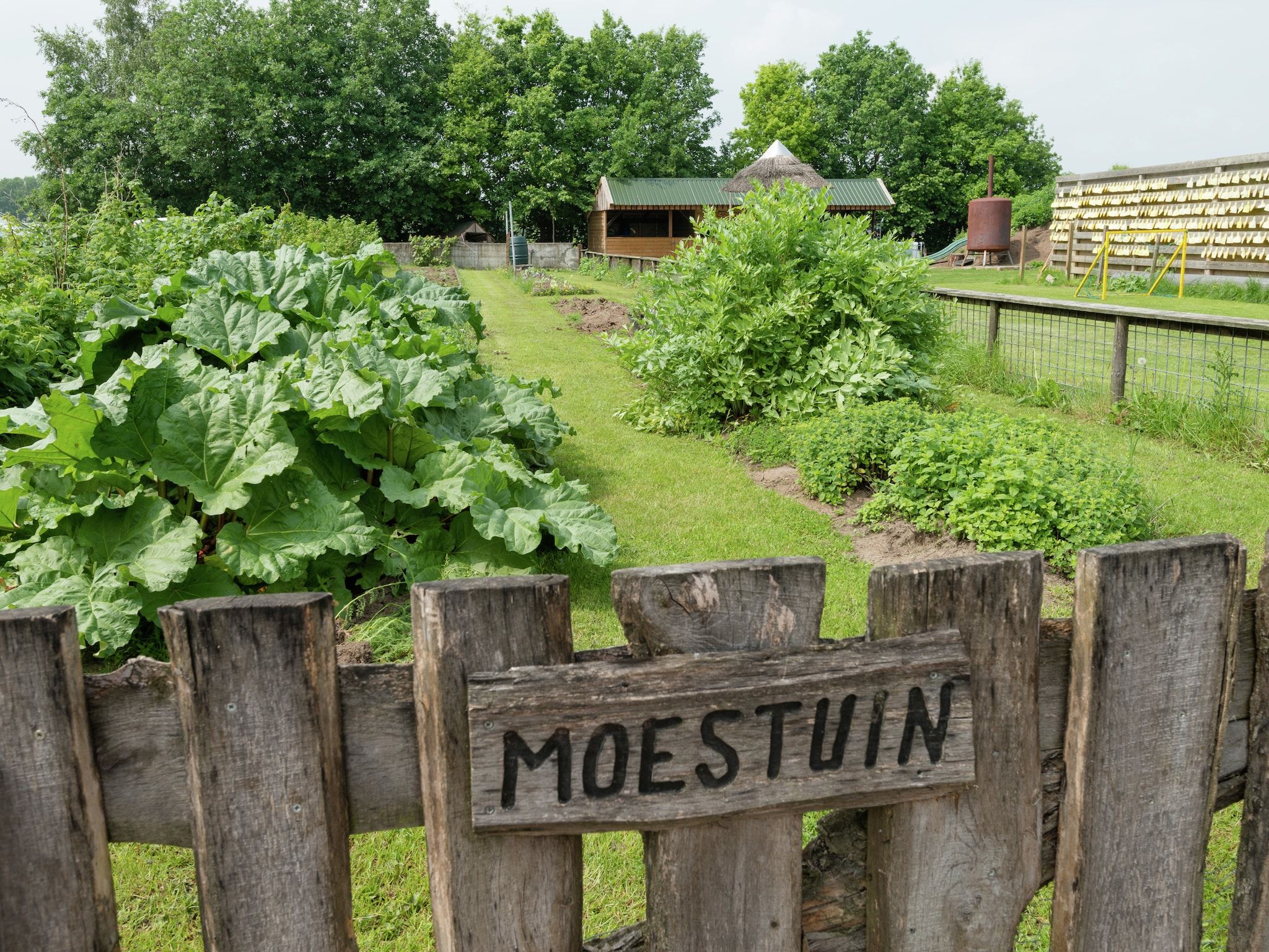 De tuin van Koe in de Kost 3 in Heeten