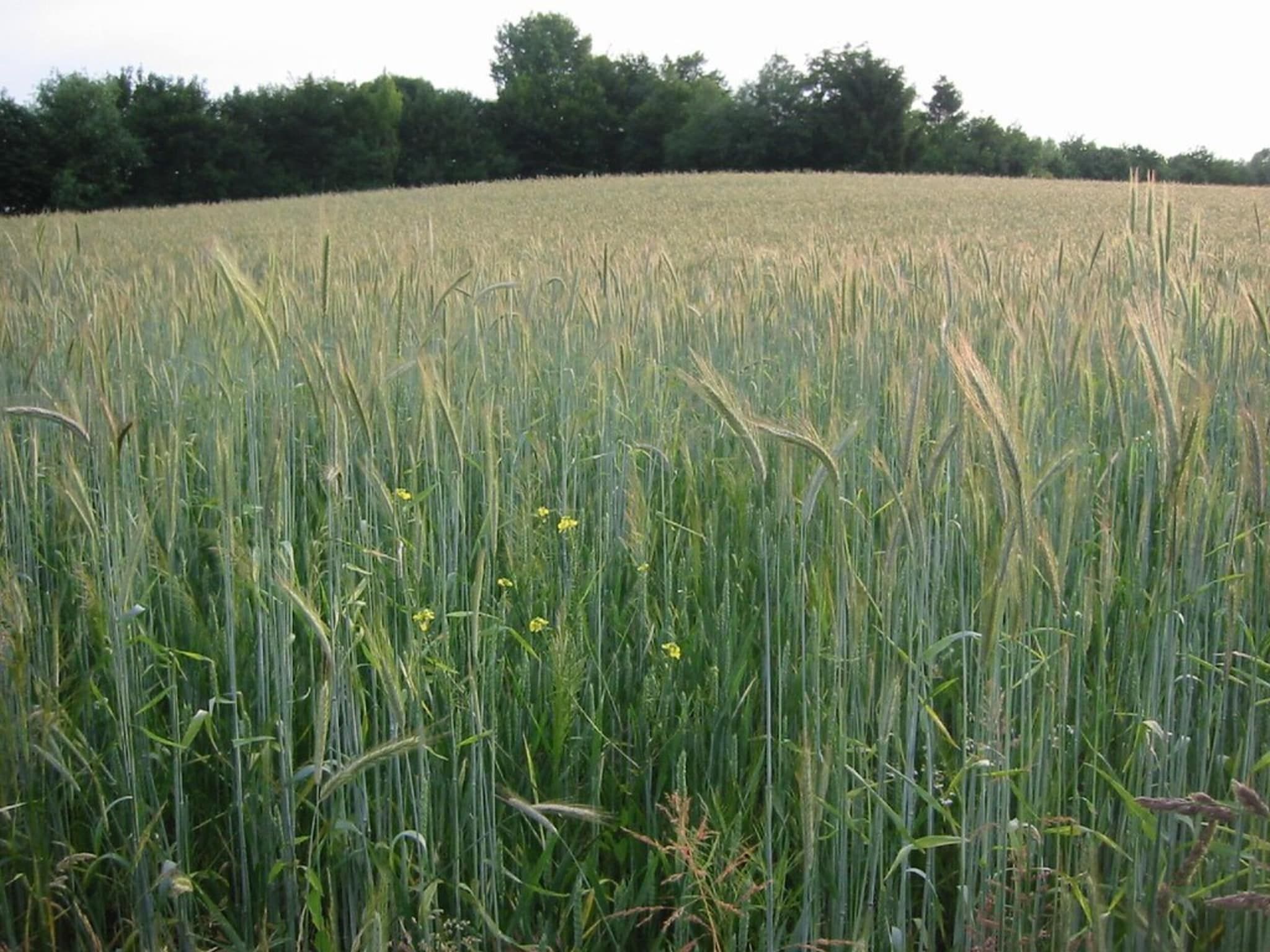 Resort Mooi Bemelen 9 in Bemelen - Foto 37 van 40