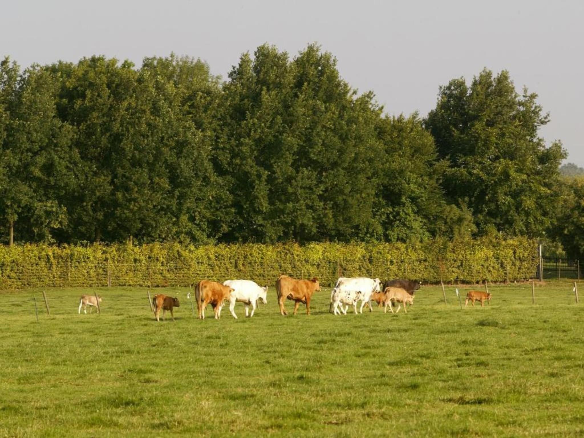 Resort Mooi Bemelen 9 in Bemelen - Foto 40 van 40