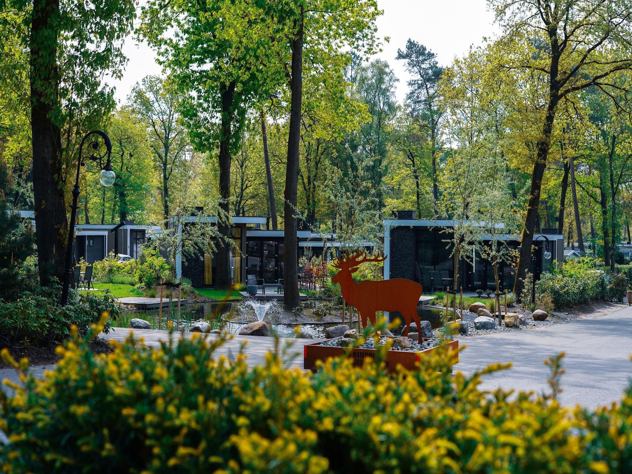 Parkfaciliteiten bij Vakantiepark De Rimboe & De Woeste Hoogte 2 in Hoenderloo