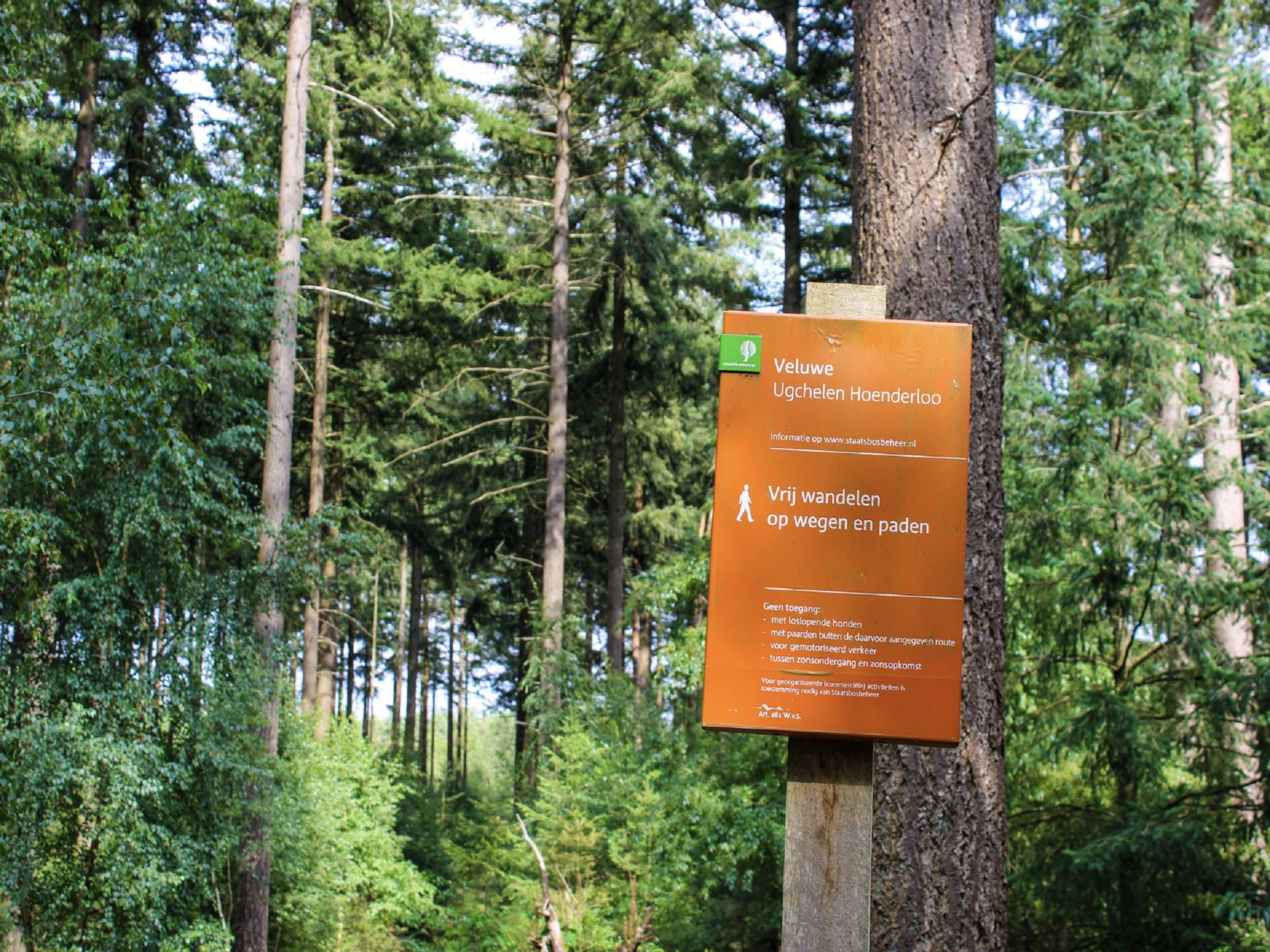 Parkfaciliteiten bij Vakantiepark De Rimboe & De Woeste Hoogte 3 in Hoenderloo