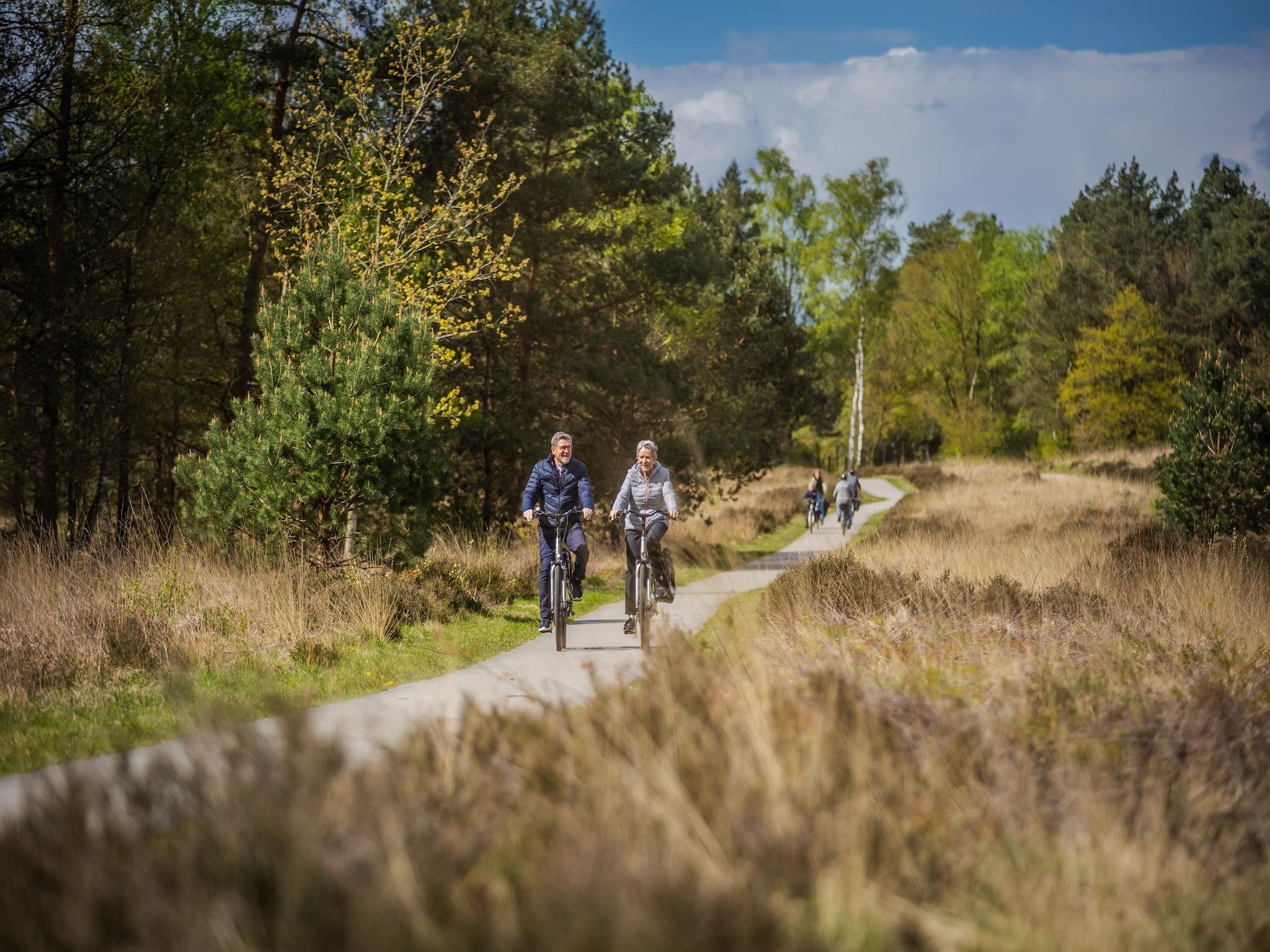 Vakantiepark De Rimboe & De Woeste Hoogte 3 in Hoenderloo - Foto 37 van 41