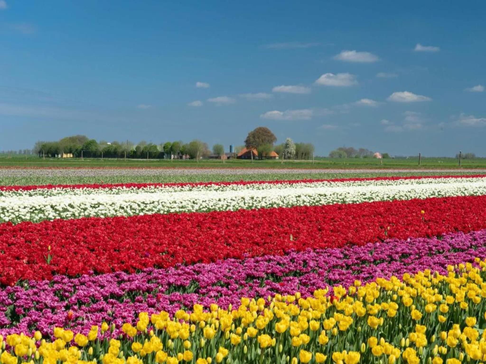 Vakantiepark Eigen Wijze 6 in Bant - Foto 32 van 36