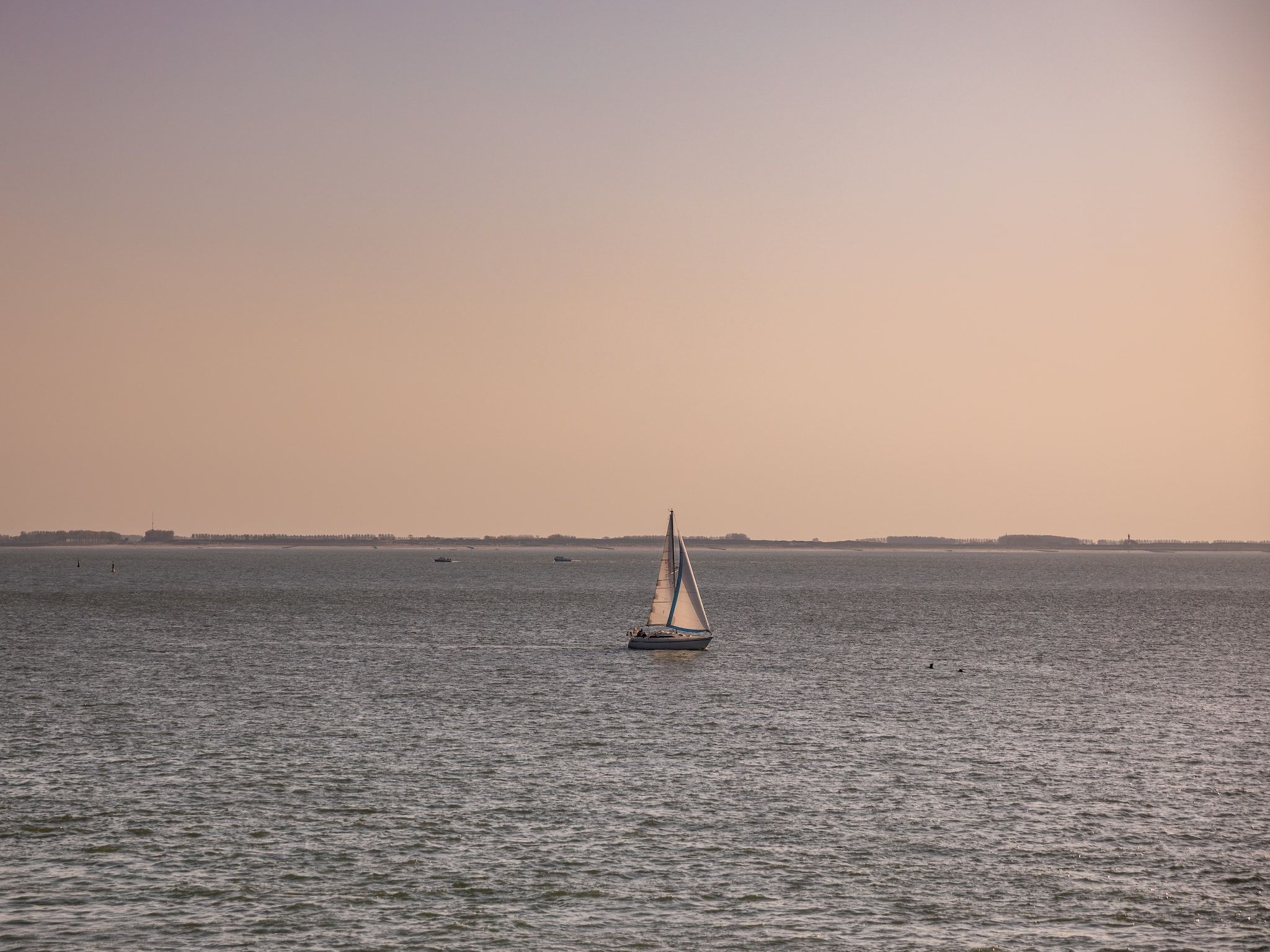 De omgeving van Noordzee Resort Vlissingen 3 in Vlissingen