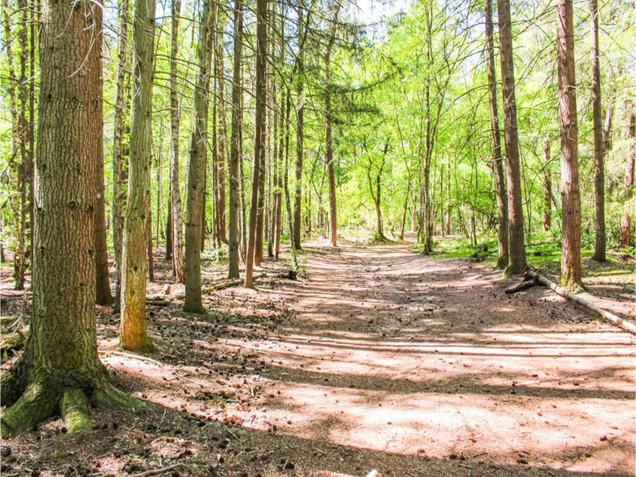 Recreatiepark Duinhoeve 10 in Udenhout - Foto 34 van 40